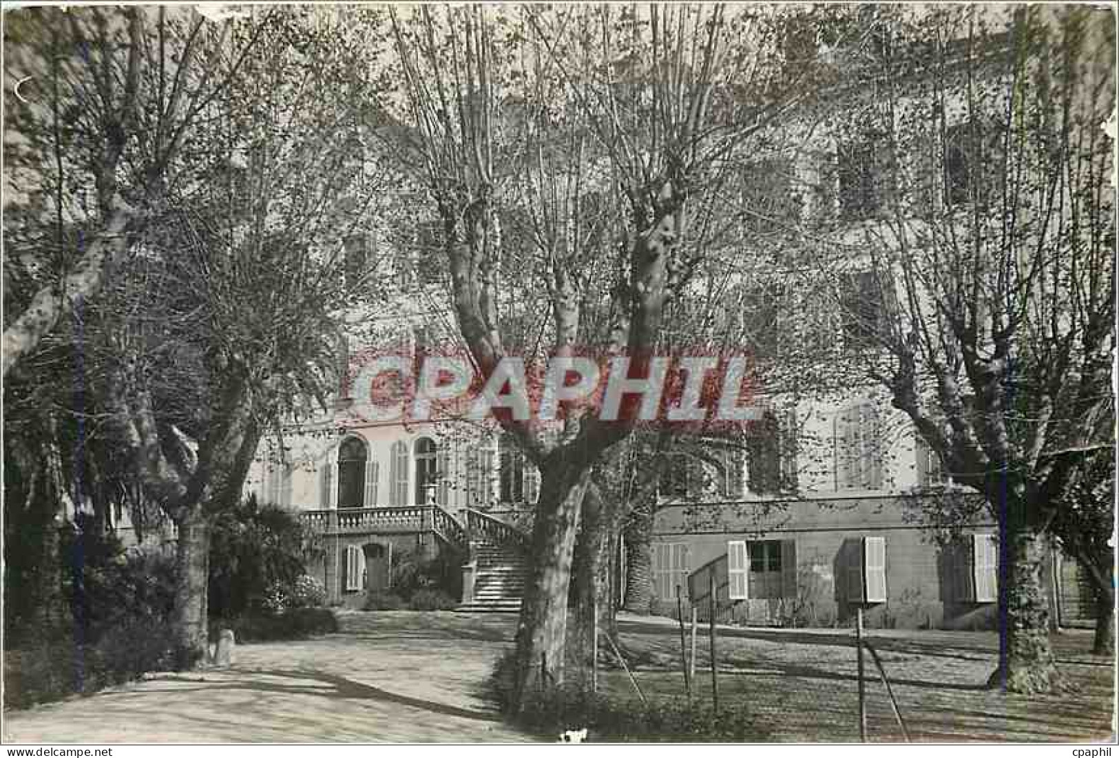 CARTE PHOTO Hyeres