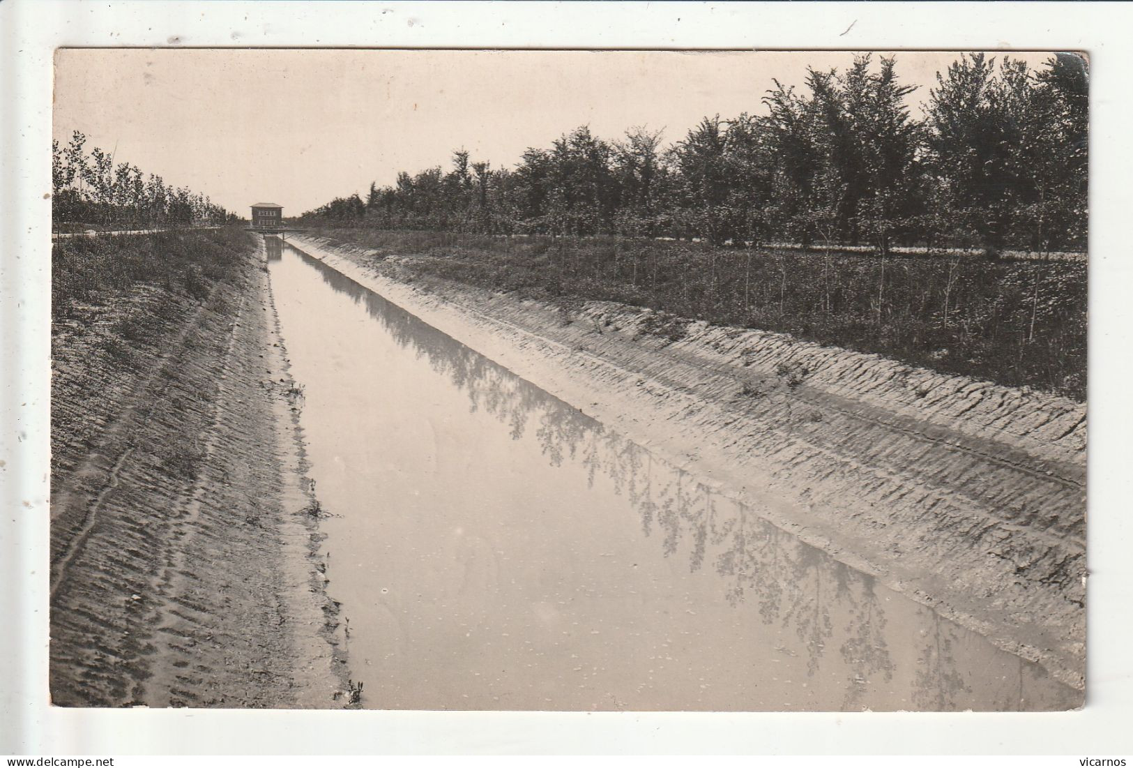 CARTE PHOTO  ITALIE REGGIO EMILIA