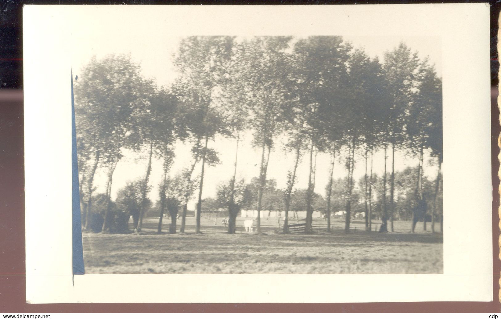 carte photo  seneffe