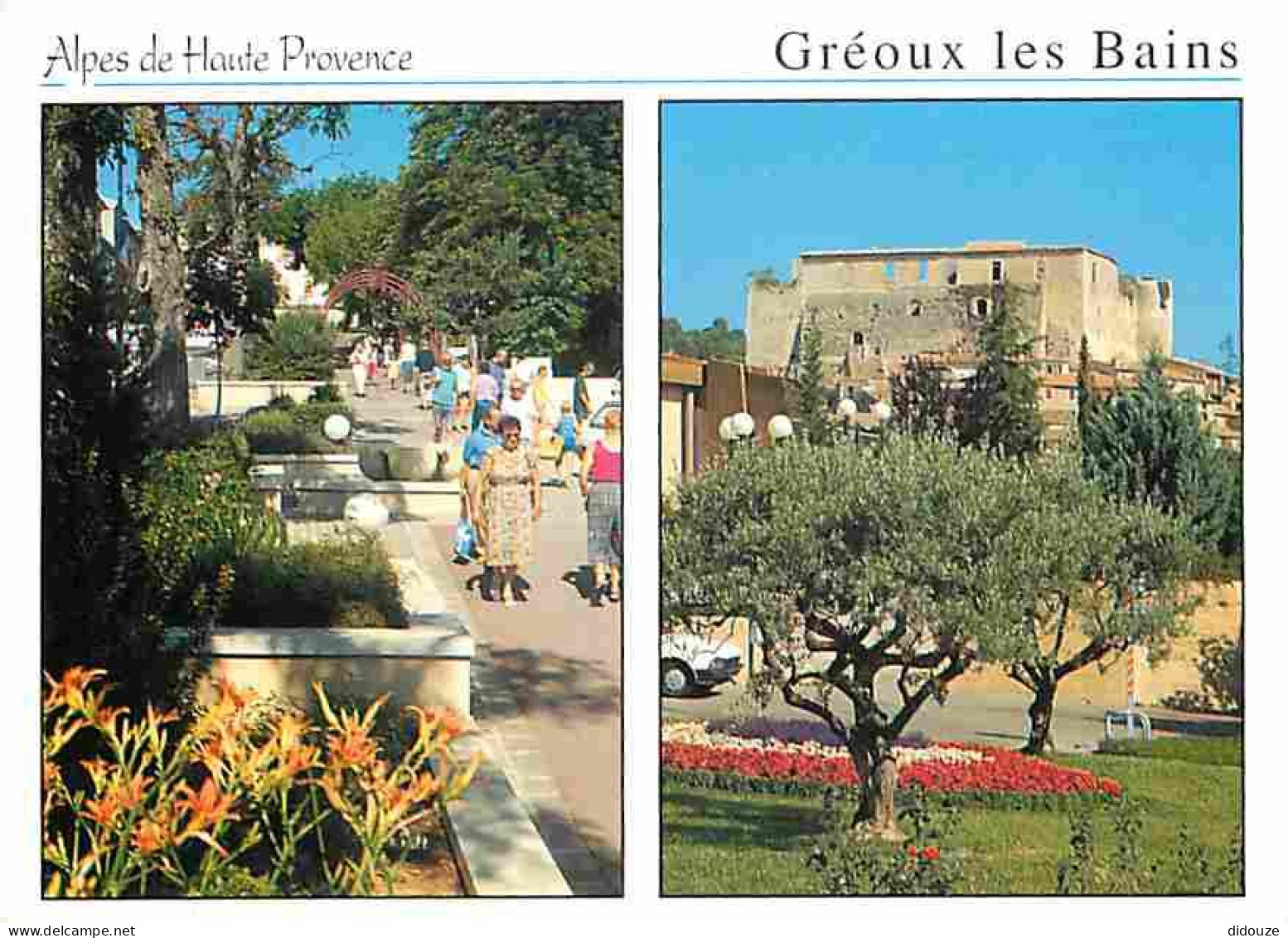 Carte Postale - 04 - Gréoux les Bains - Multivues - Fleurs - Flamme Postale de Gréoux les Bains - CPM - Voir Scans Recto