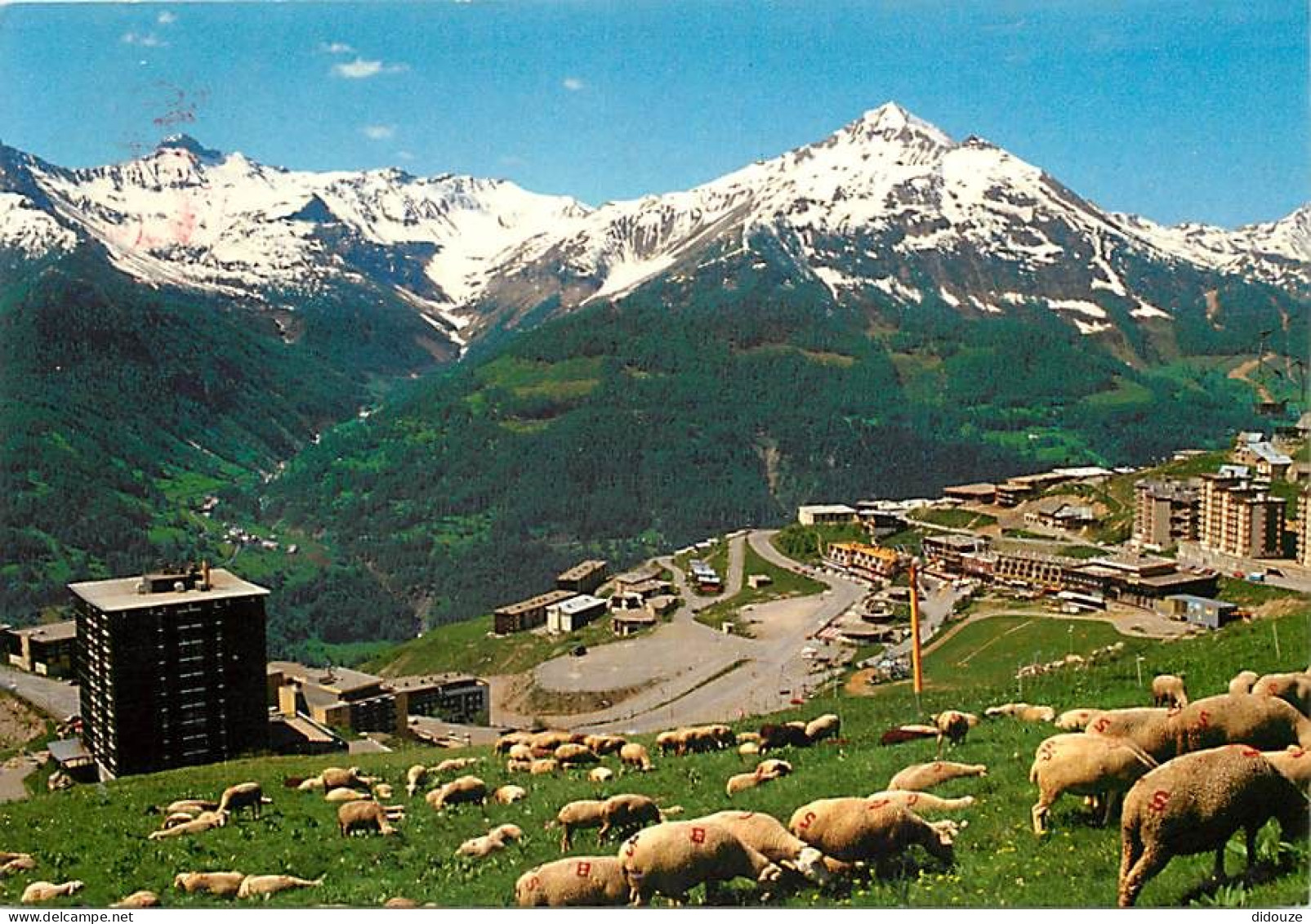 Carte Postale - 05 - Orcières Merlette - Vallée du Champsaur - Merlette - Moutons - Flamme Postale de Orcières Merlette