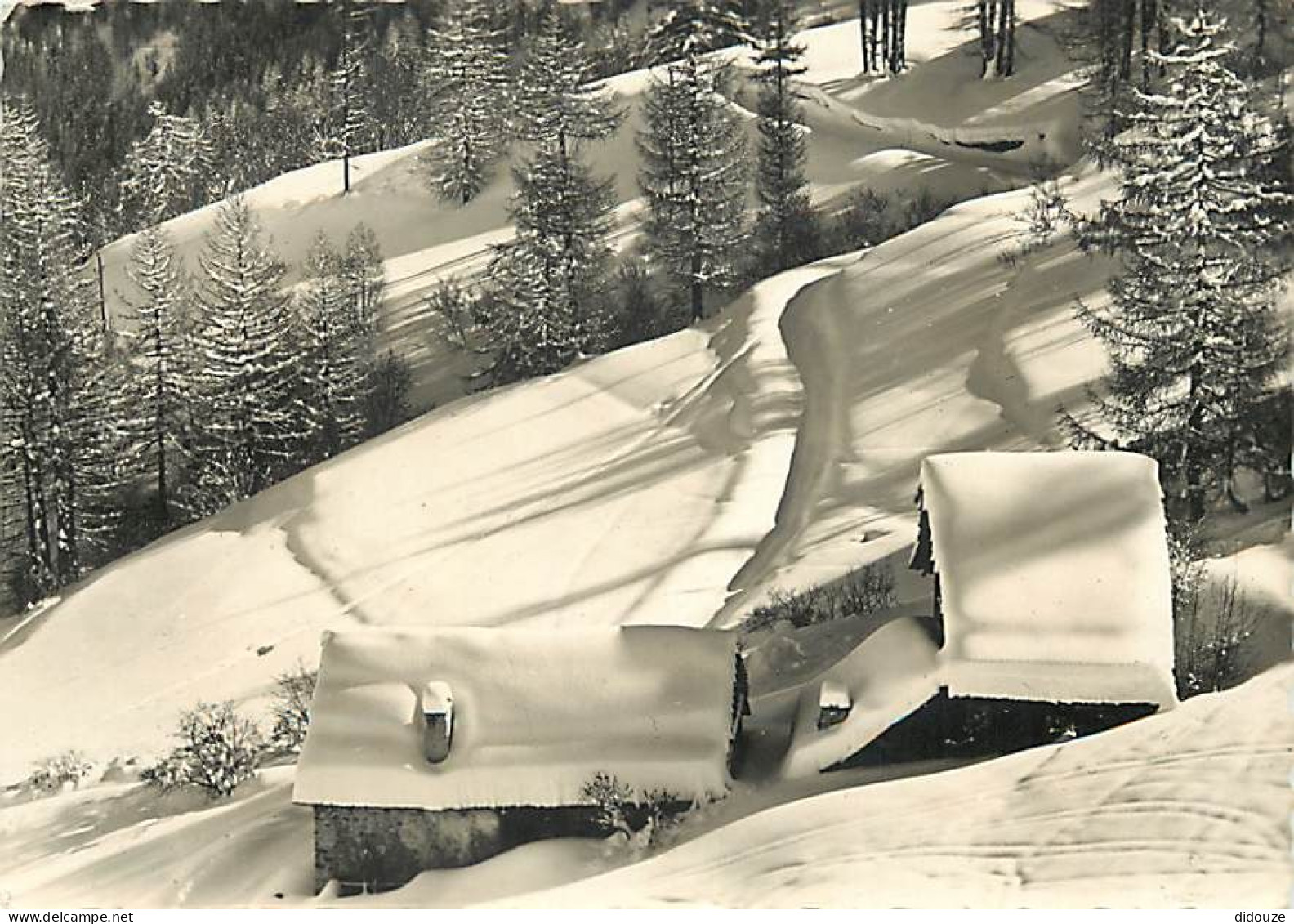 Carte Postale - 05 - Serre Chevalier - Téléphérique de Serre-Chevalier - Chalets de Champcella - Piste du Lièvre Blanc -