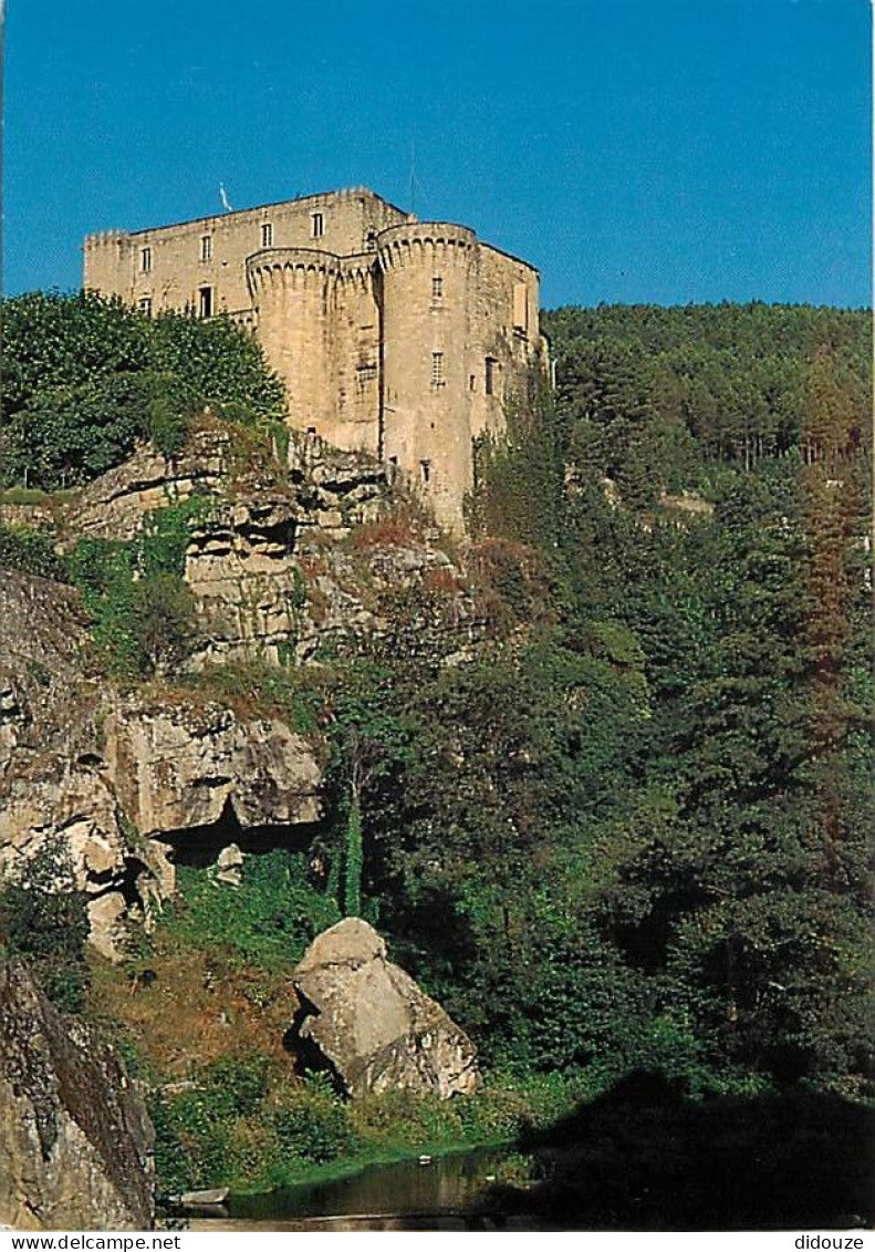 Carte Postale - 07 - Largentière - Le Château - CPM - Voir Scans Recto-Verso - Poscard - Carta Postal -  Postkarte