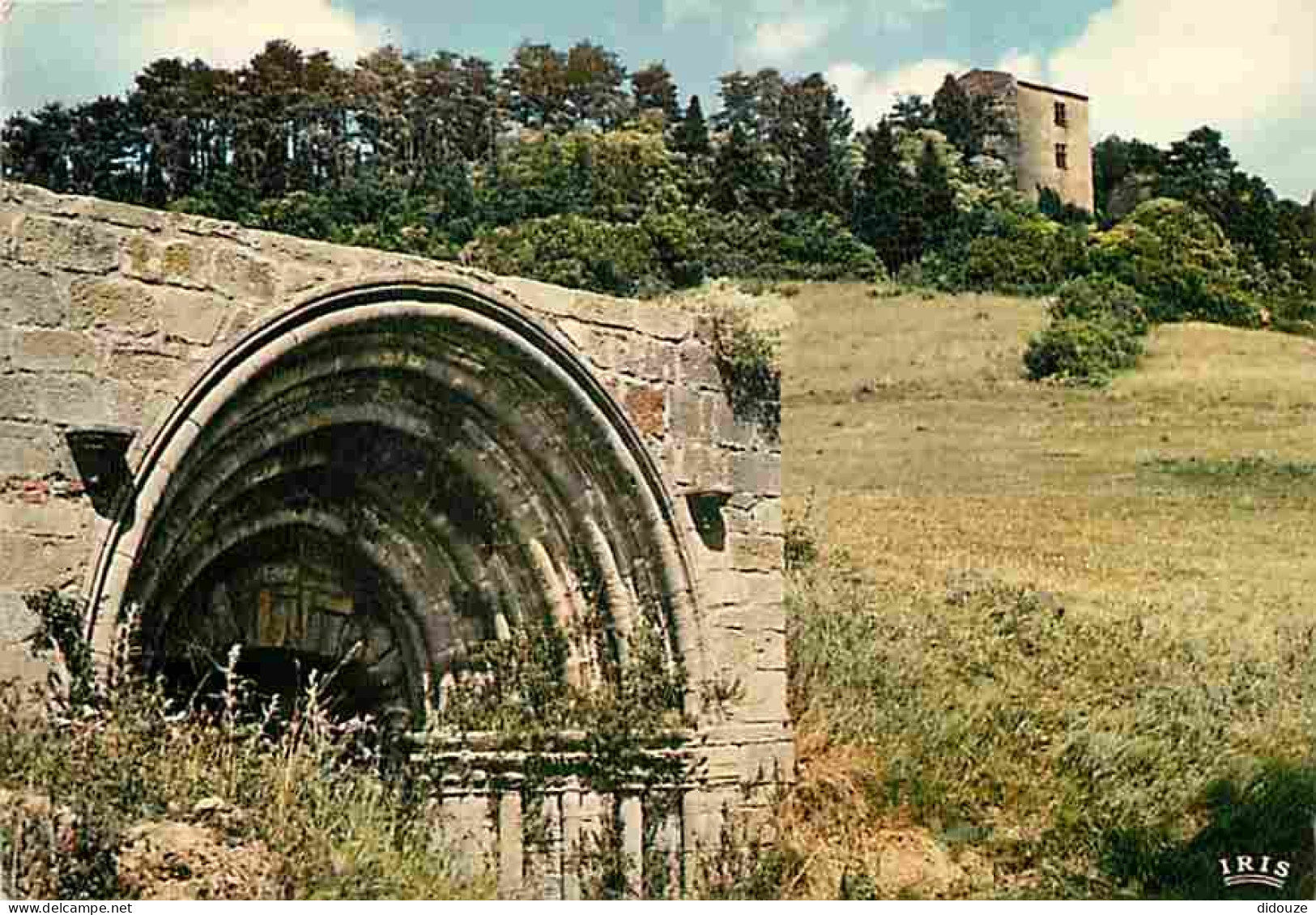Carte Postale - 09 - Mirepoix - Environs de Mirepoix - Fontaine des Cordeliers et Château de Terride - Carte Neuve - CPM