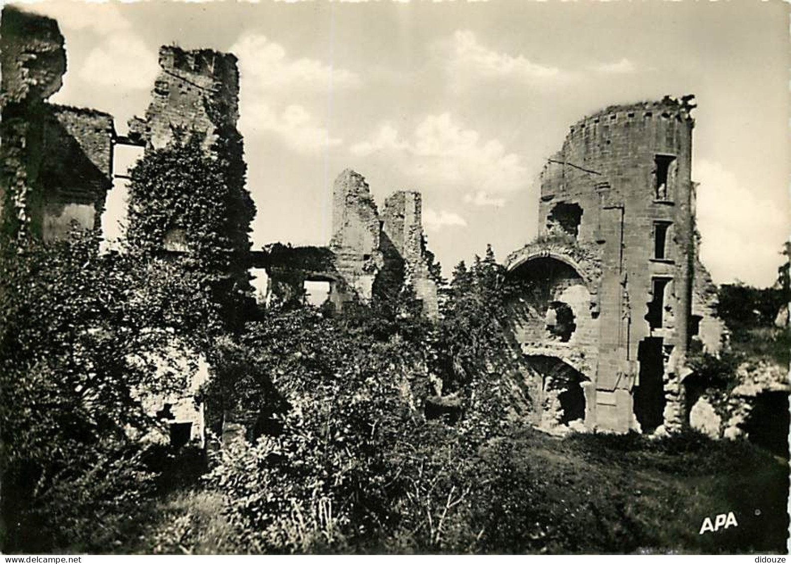 Carte Postale - 09 - Mirepoix - Environs de Mirepoix - Ruines du Château de Lagarde - Résidence de la Famille de Levis M