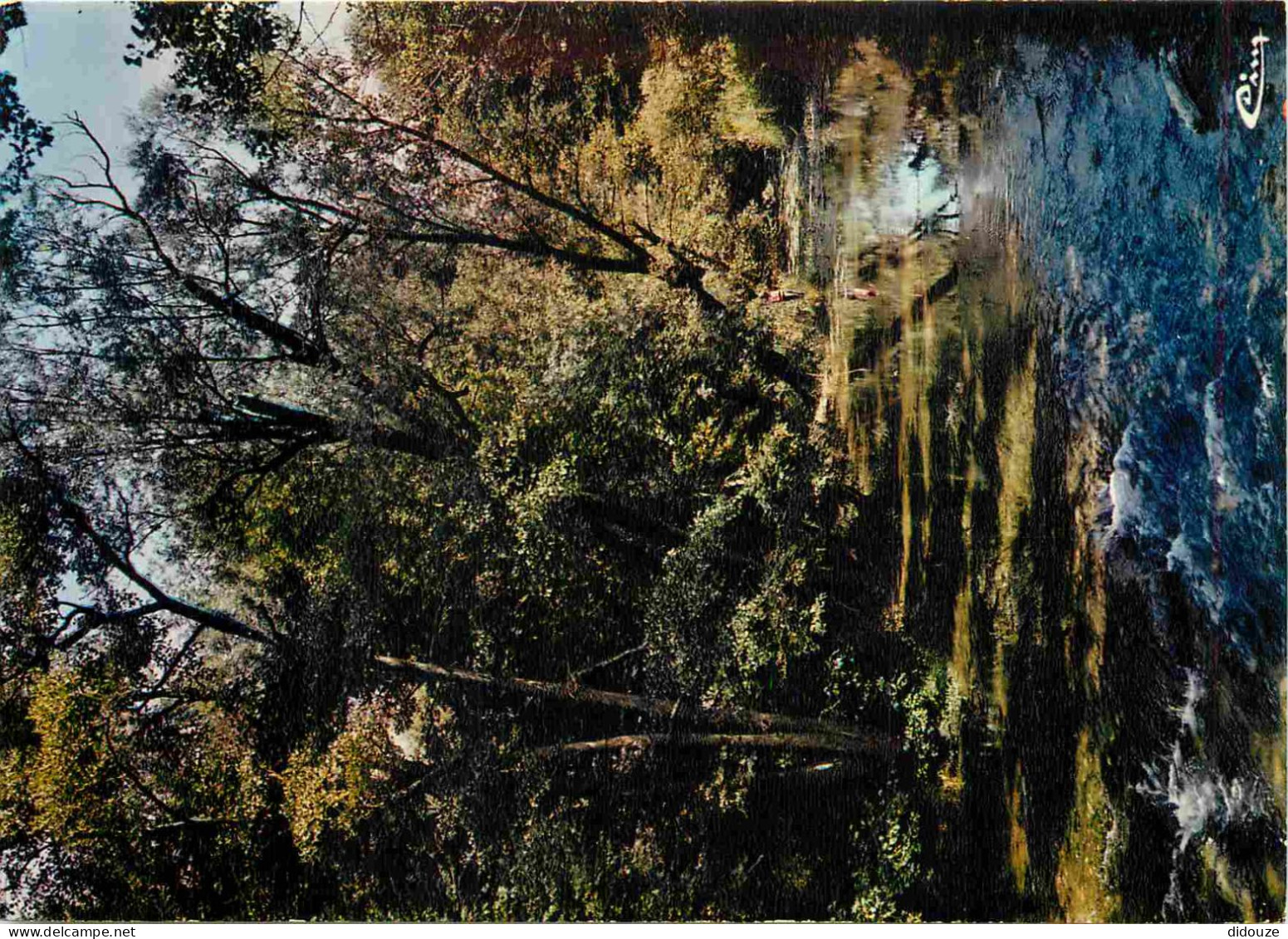 Carte Postale - 10 - Essoyes - L'Ource - CPM - Carte Neuve - Voir Scans Recto-Verso - Poscard - Carta Postal -  Postkart