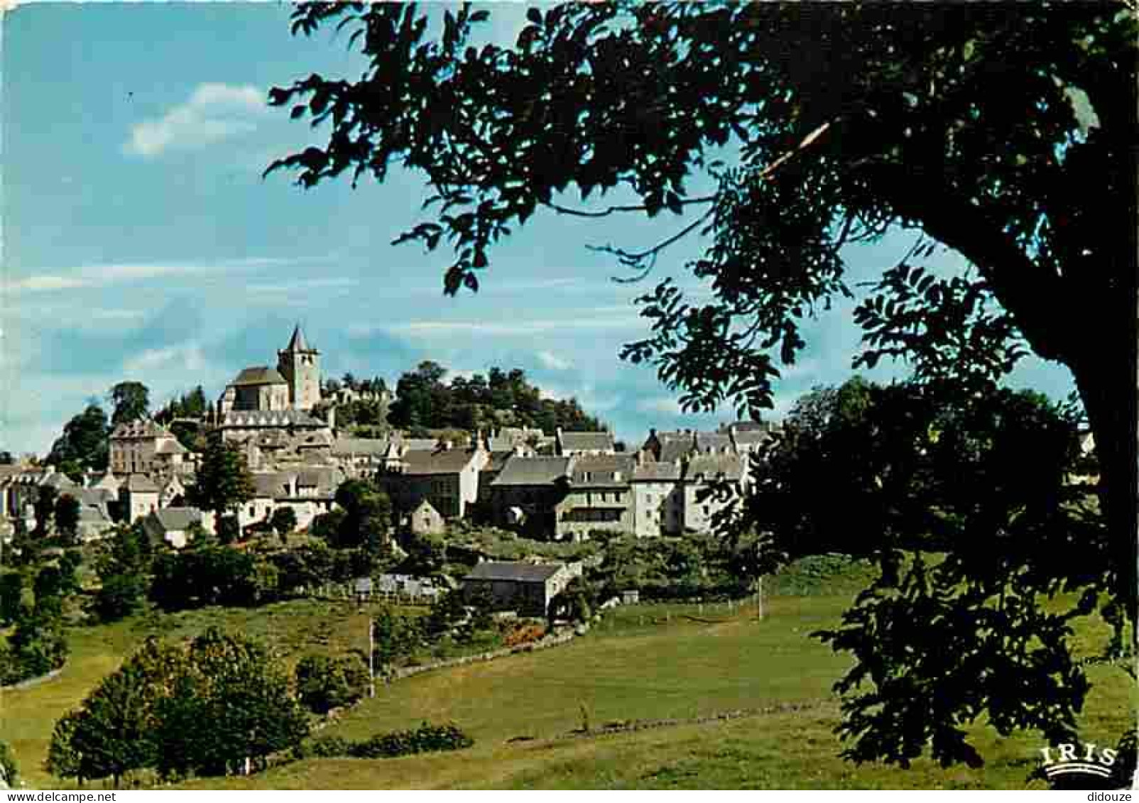 Carte Postale - 12 - Laguiole - Vue Générale - CPM - Voir Scans Recto-Verso - Poscard - Carta Postal -  Postkarte