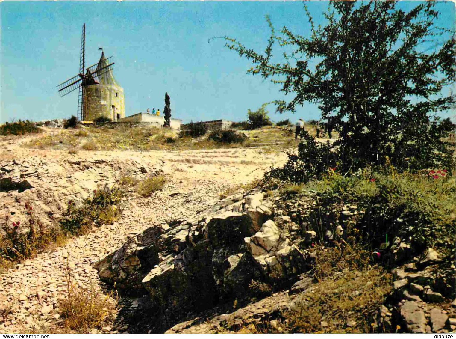 Carte Postale - 13 - Fontvieille - Le moulin d'Alphonse Daudet -  -  -  -  - CPM -  -  - Voir Scans Recto-Verso