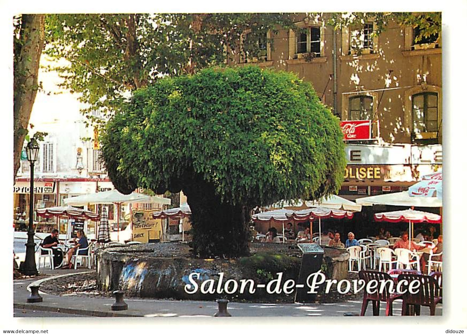 Carte Postale - 13 - Salon de Provence - La Fontaine moussue et la Place Crousillat - Flamme Postale de Salon de Provenc