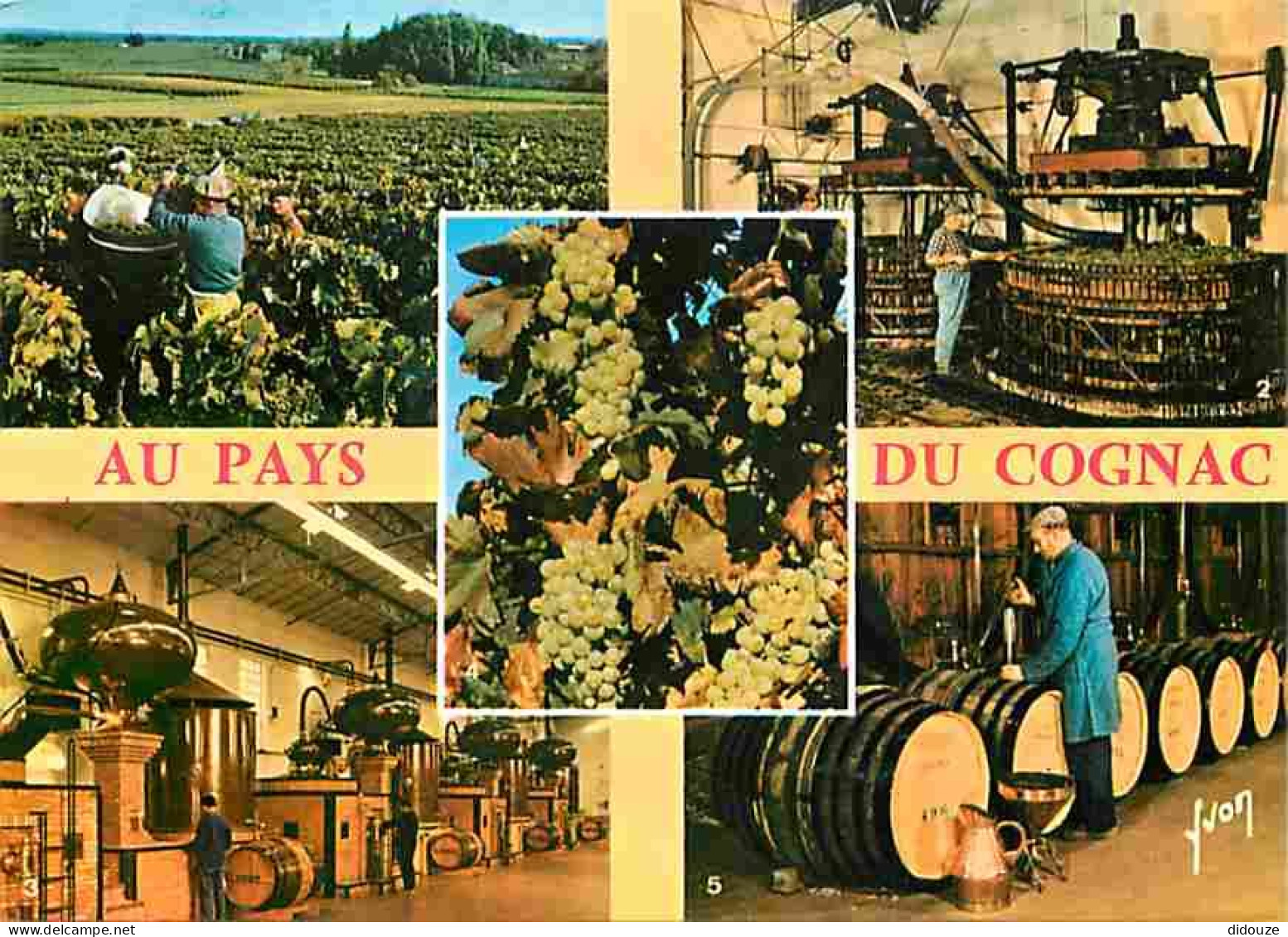 Carte Postale - 16 - Cognac - Au Pays du Cognac - Multivues - Vignes - Vendange - Flamme Postale de Cognac - CPM - Voir