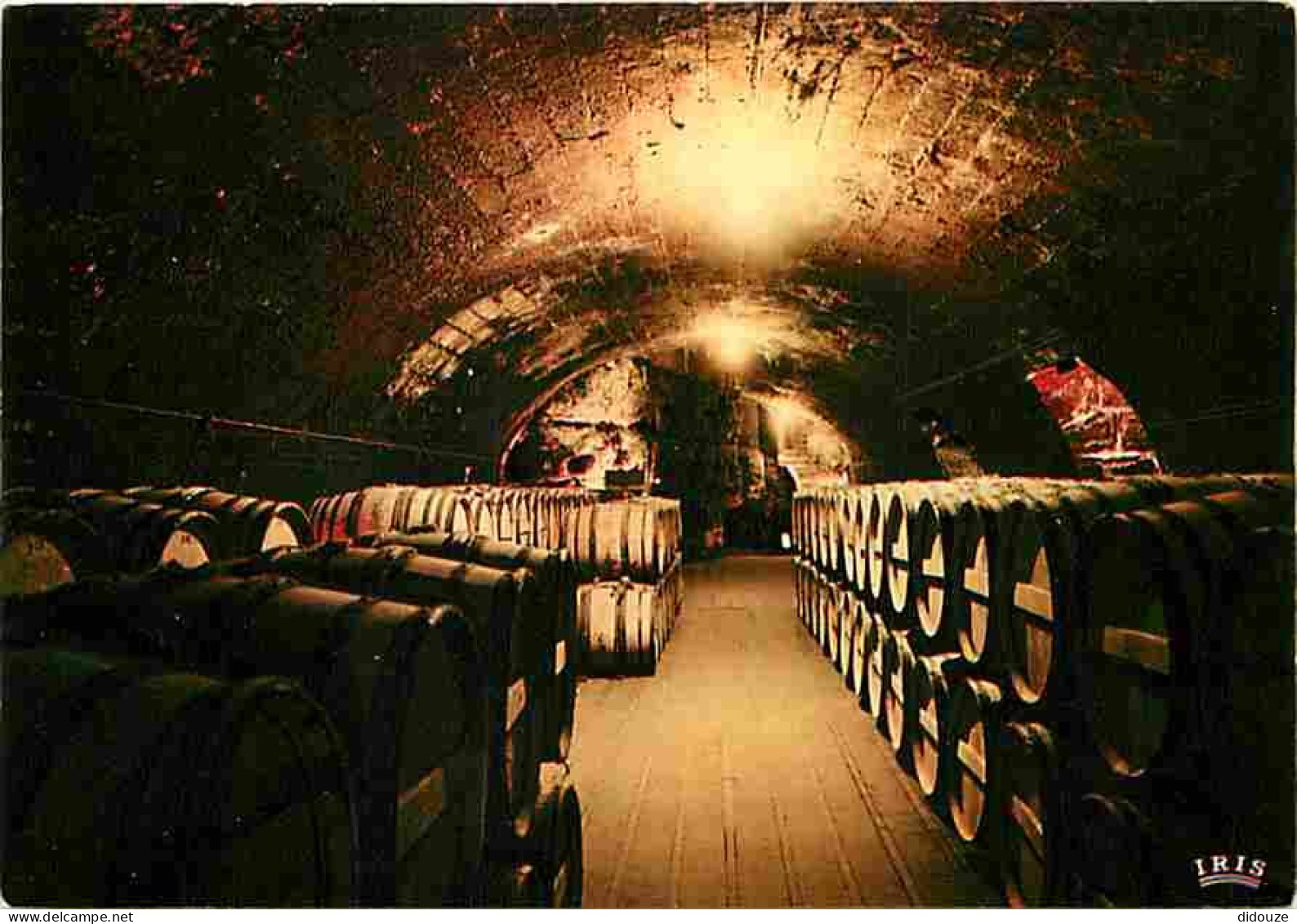 Carte Postale - 16 - Cognac - Château de Cognac - Ets Cognac Otard - Les voûtes basses du XIIIe siècle - Carte Neuve - C