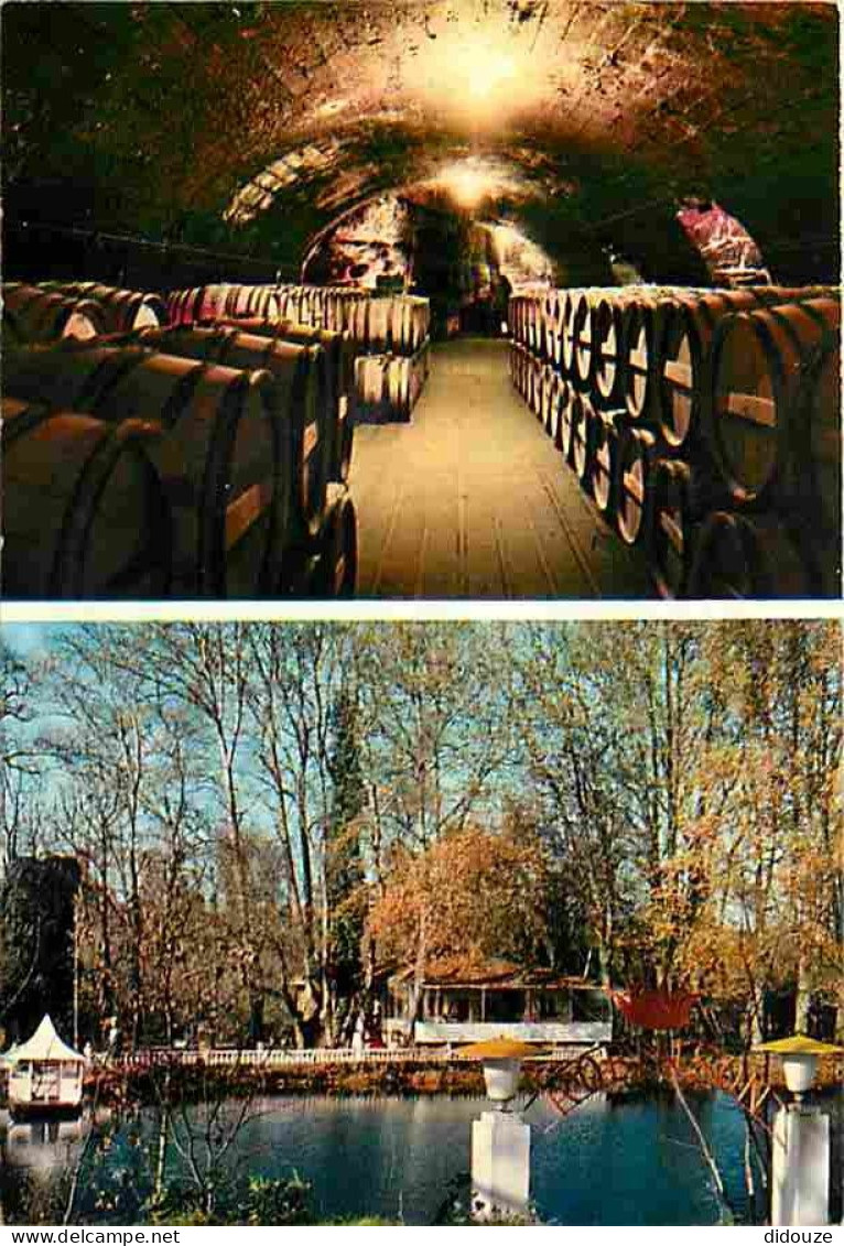 Carte Postale - 16 - Cognac - Château de Cognac - Ets Cognac Otard - Robinson - Multivues - Carte Neuve - CPM - Voir Sca