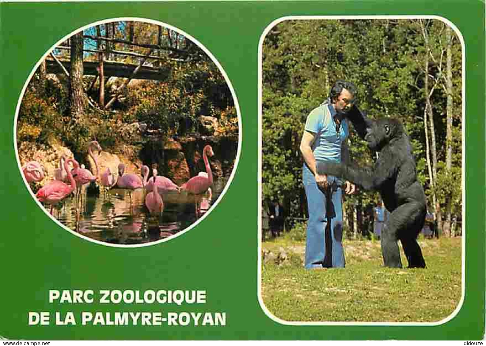 Carte Postale - 17 - La Palmyre - Les Mathes - Multivues - Coucher de Soleil - Bateaux - CPM - Voir Scans Recto-Verso -