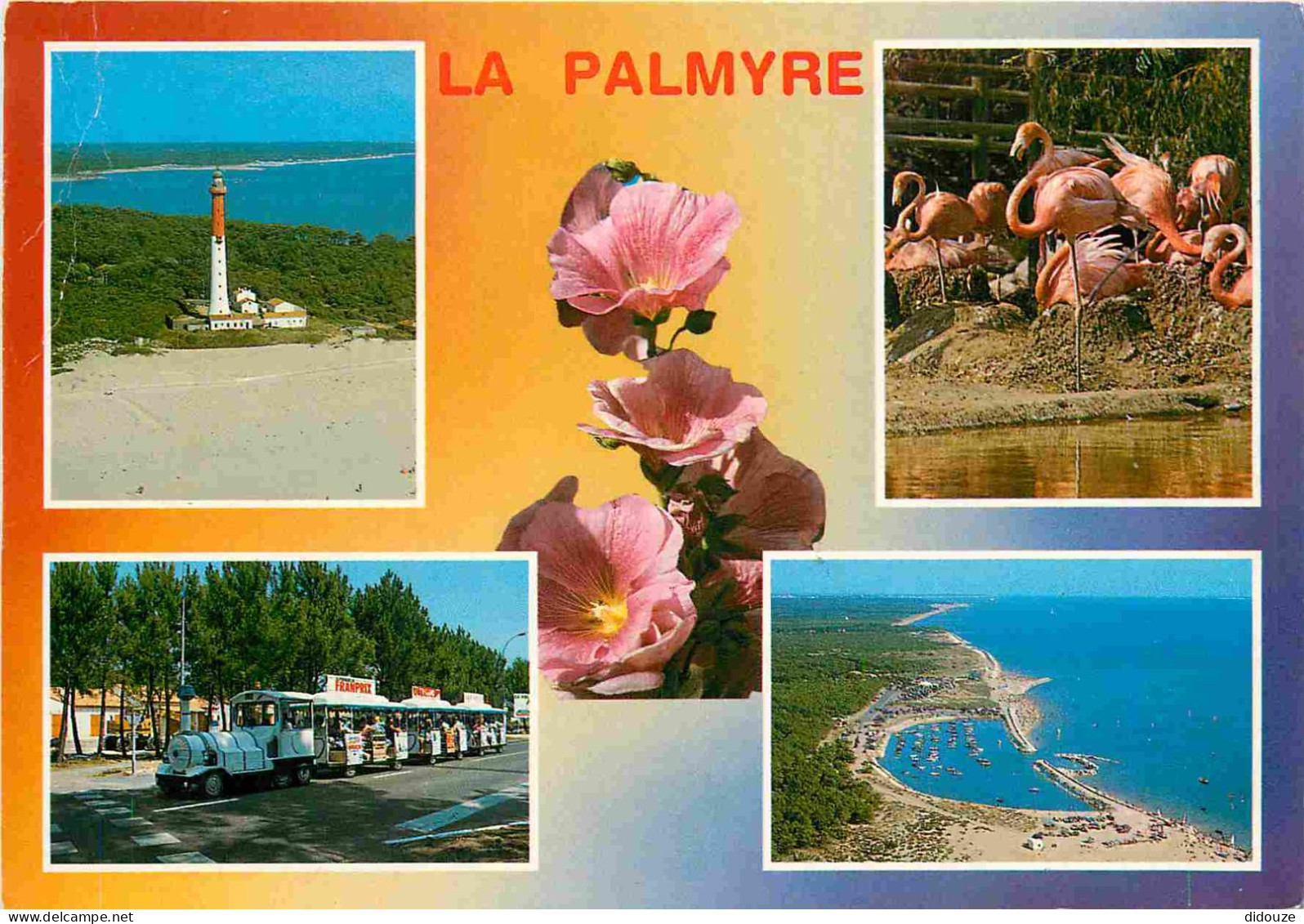 Carte Postale - 17 - Les Mathes - La Palmyre - Multivues - Fleurs - Flamants Roses - CPM - Voir Scans Recto-Verso - Posc