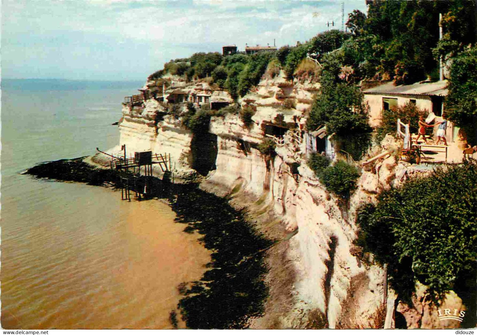 Carte Postale - 17 - Meschers sur Gironde - Falaises et Grottes de Meschers - Carte Dentelée - CPSM grand format - Carte