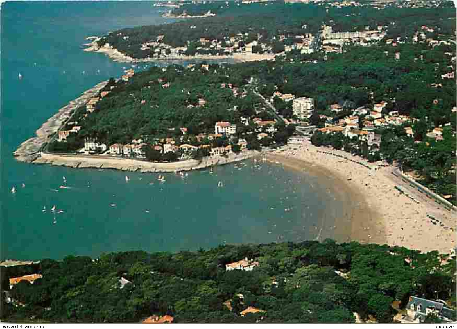 Carte Postale - 17 - Saint Palais sur Mer - Les plages de Nauzan et de Saint Palais sur Mer - Vue aérienne - CPM - Voir