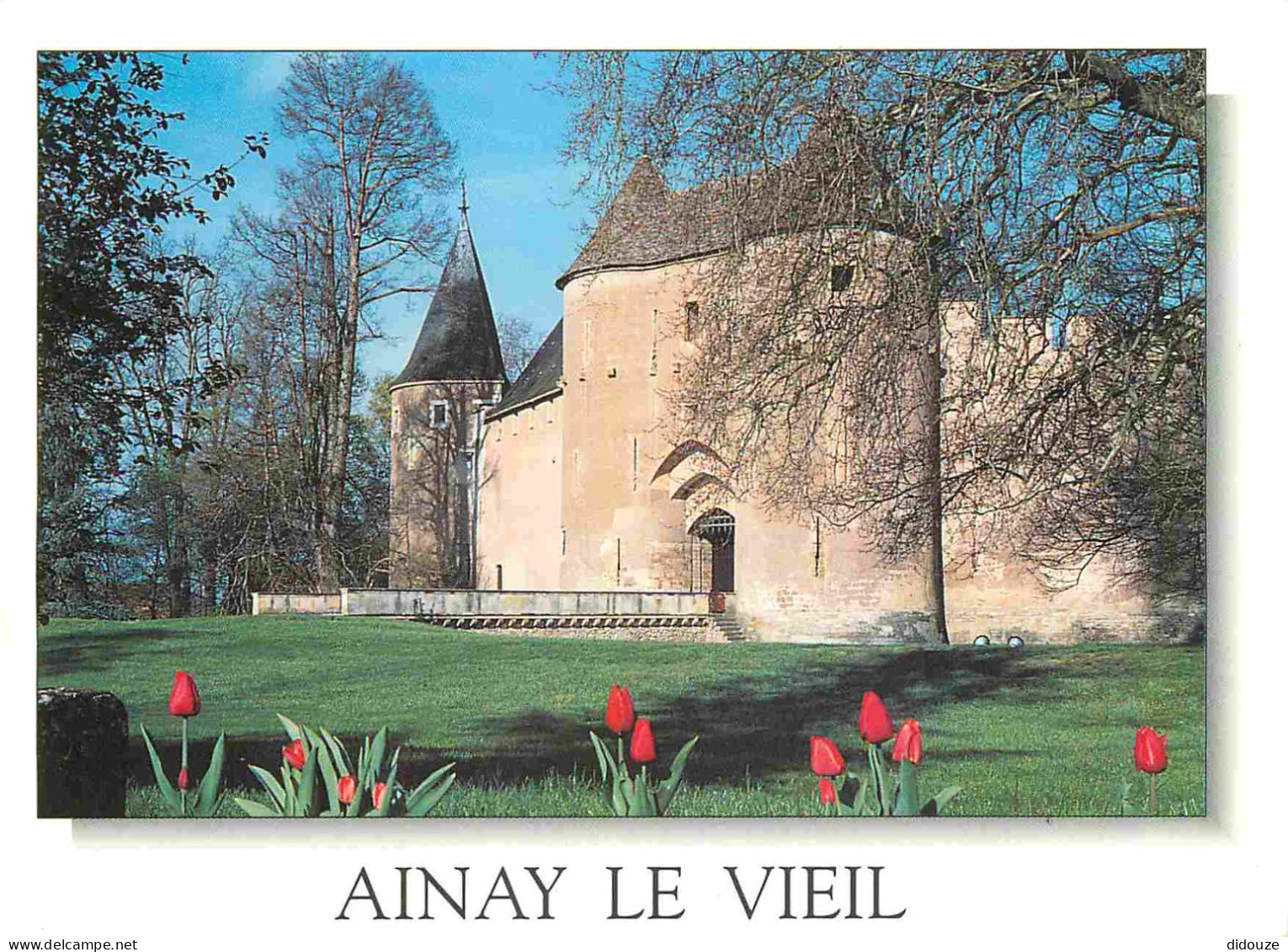 Carte Postale - 18 - Ainay le Vieil - Le Château - CPM - Voir Scans Recto-Verso - Poscard - Carta Postal -  Postkarte