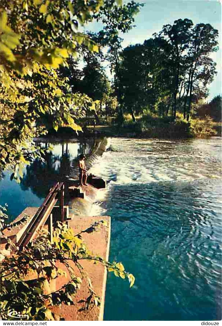 Carte Postale - 18 - Saint Florent sur Cher - Un coin de pêche sur les bords du Cher - Flamme Postale de Saint Florent s