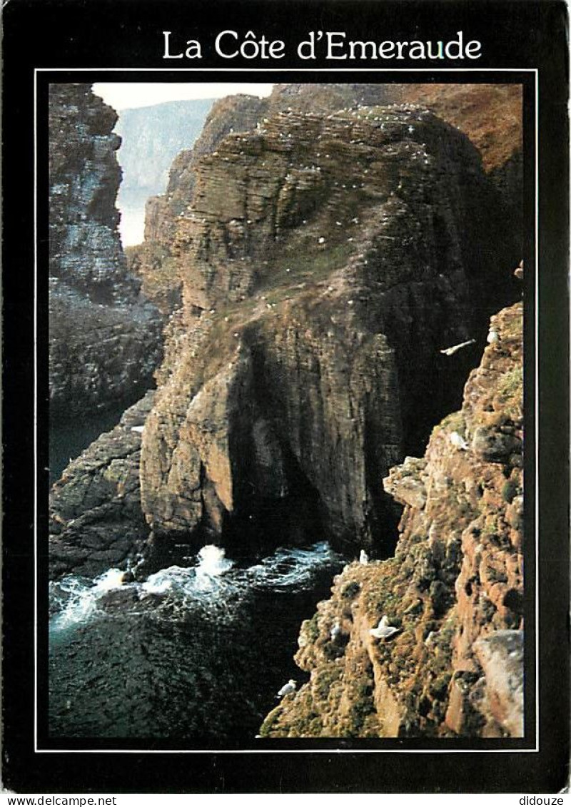 Carte Postale - 22 - Le Cap Fréhel - La Fauconnière, au Cap Fréhel - Carte Neuve - CPM - Voir Scans Recto-Verso - Poscar