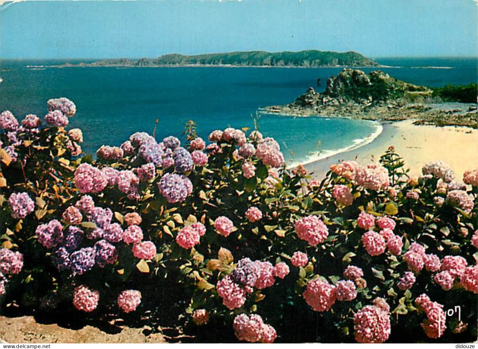 Carte Postale - 22 - Perros-Guirec - Plage de Trestrignel - Fleurs - Flamme Postale de Perros-Guirec - CPM - Voir Scans