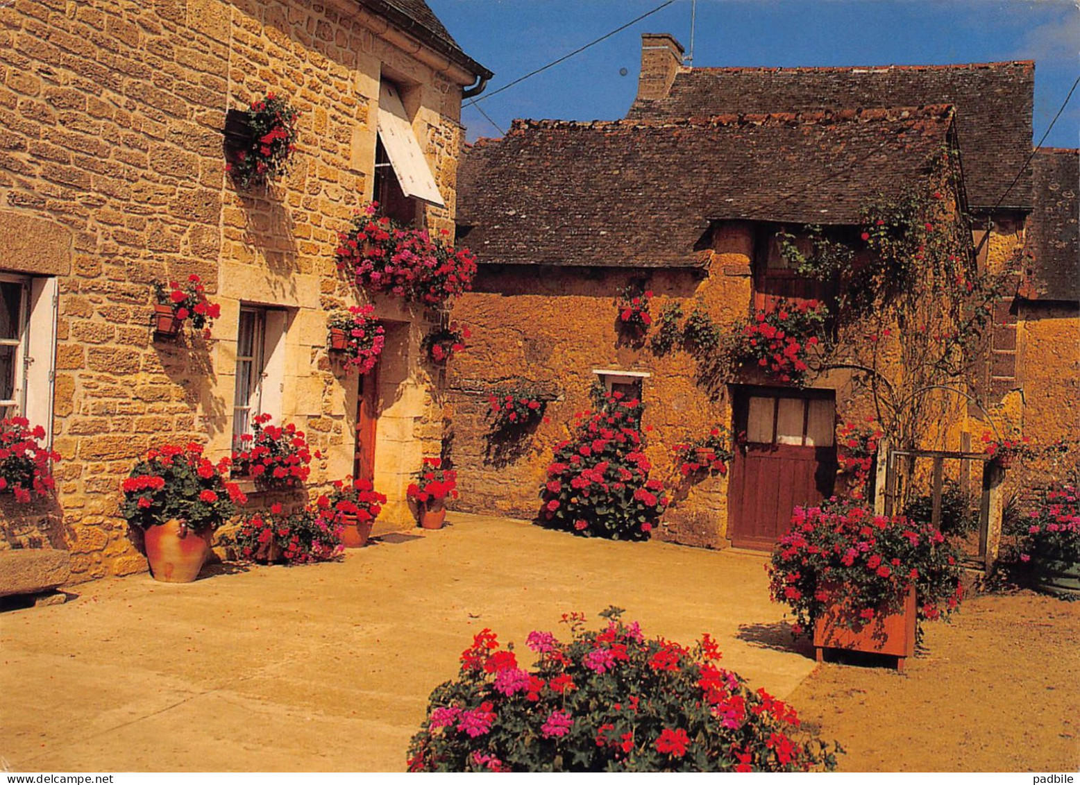 carte postale 22. Saint-Juvat  ferme fleurie très beau plan