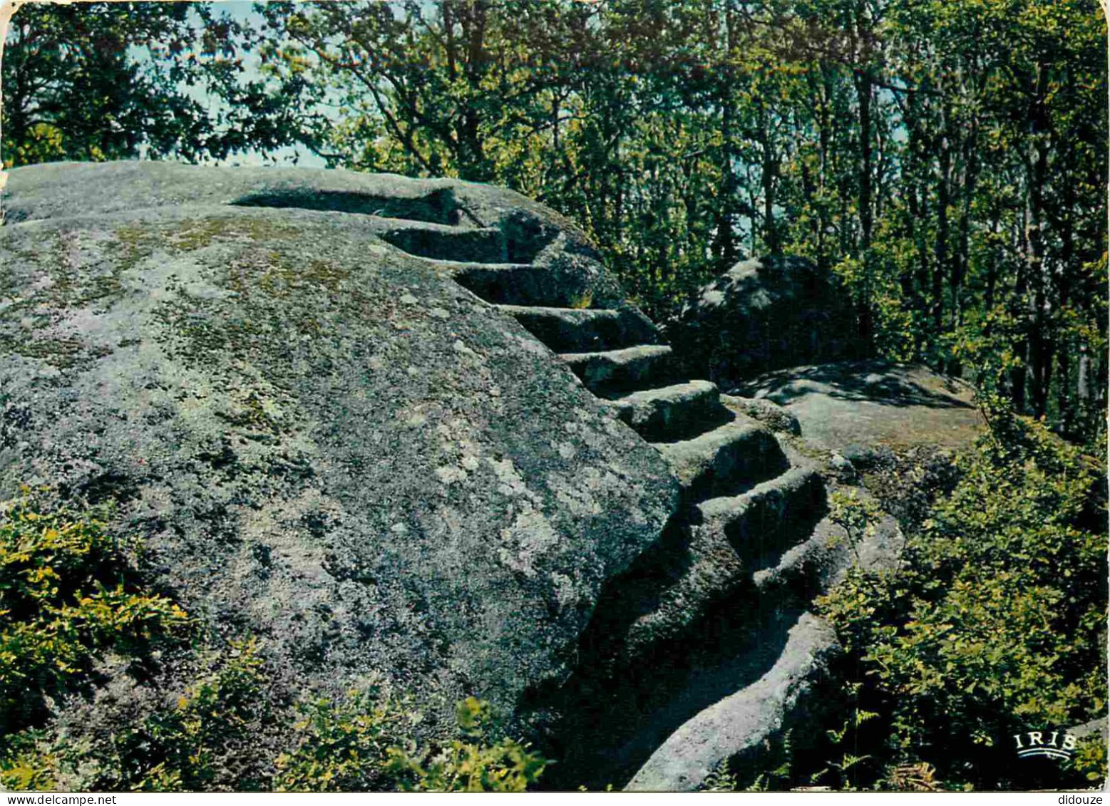 Carte Postale - 23 - Pontarion - Sur la colline de Martineiche la pierre aux neuf gradins - CPM - Voir Scans Recto-Verso