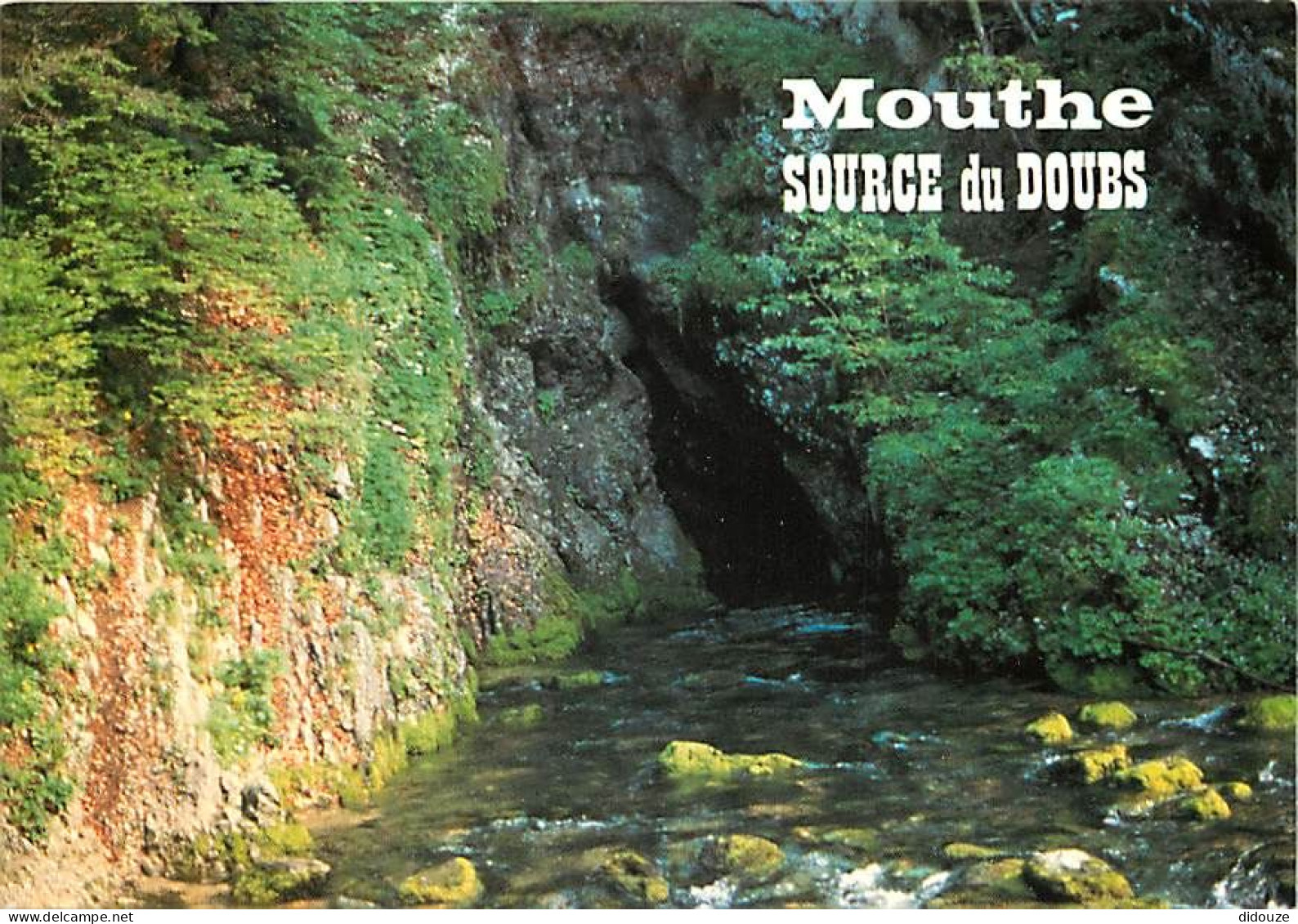 Carte Postale - 25 - Mouthe - La Source du Doubs - CPM - Voir Scans Recto-Verso - Poscard - Carta Postal -  Postkarte