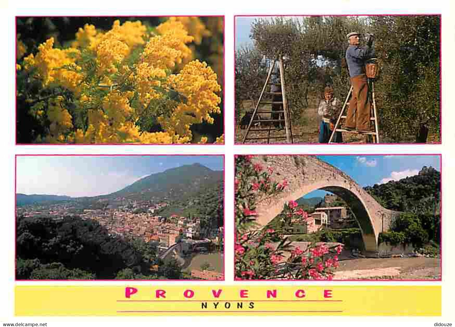 Carte Postale - 26 - Nyons - Multivues - Oliviers - Cueillette des Olives - Fleurs - Flamme Postale de Nyons - CPM - Voi