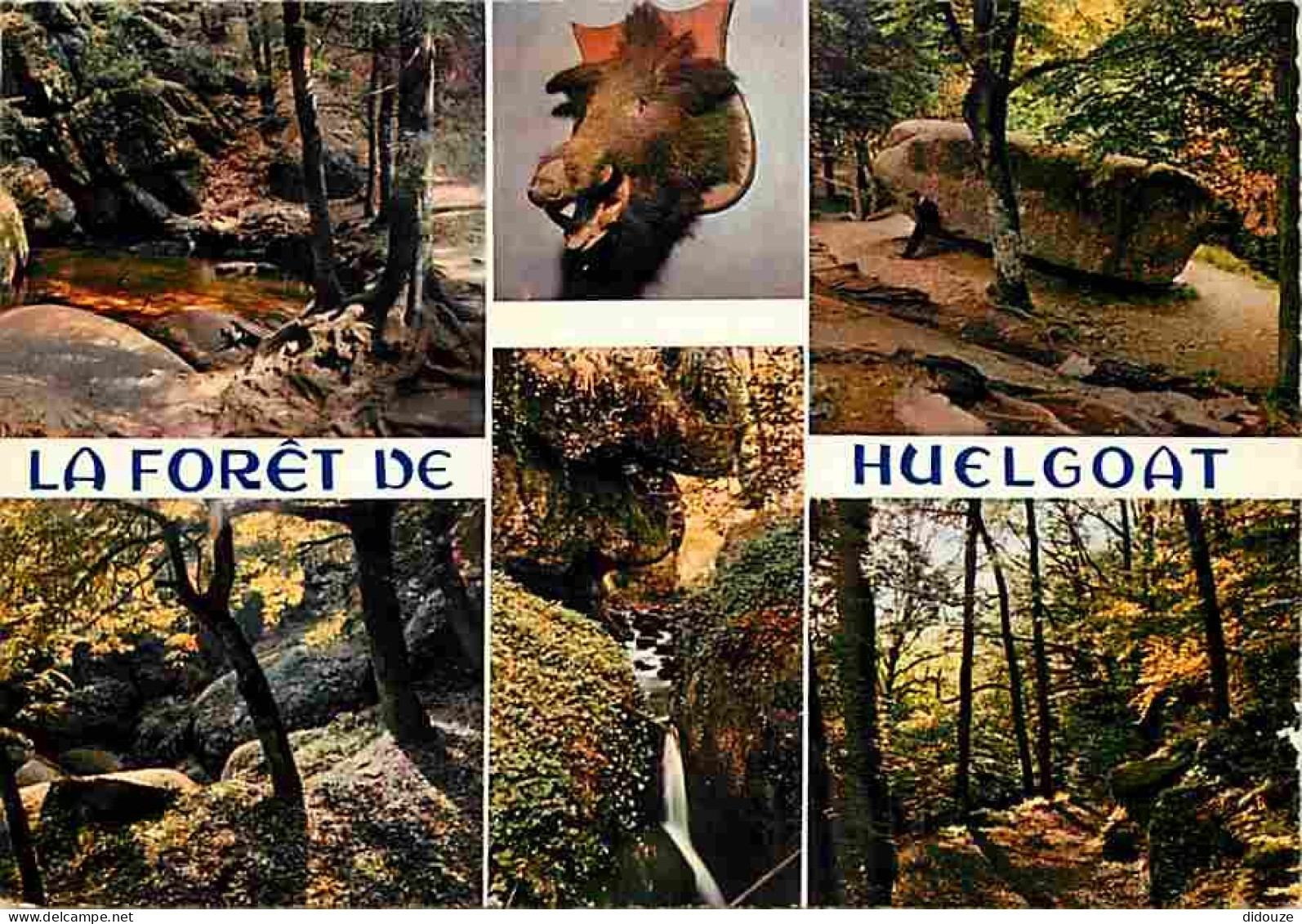 Carte Postale - 29 - Huelgoat - La Forêt - Multivues - Taxidermie - Voir Scans Recto Verso