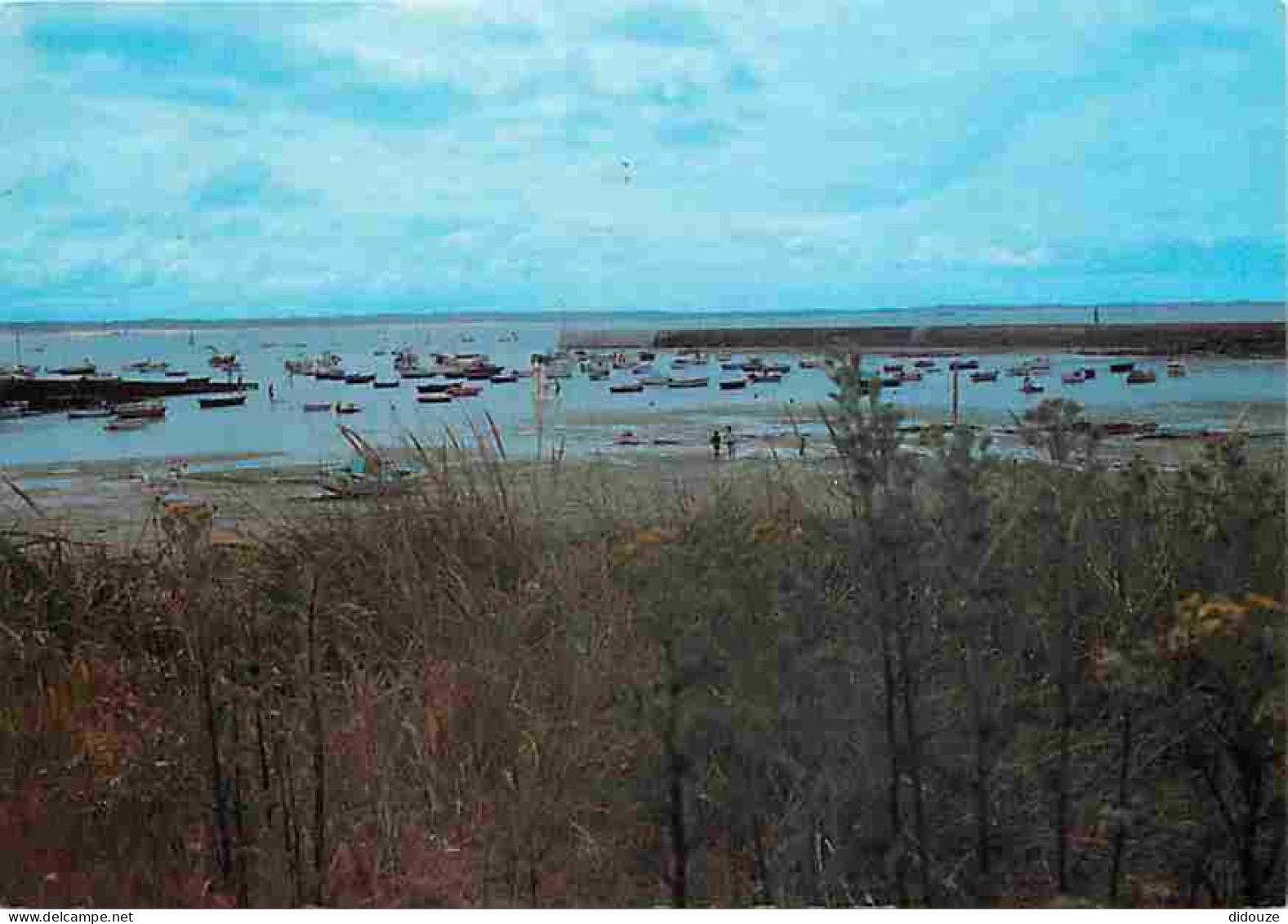Carte Postale - 29 - Plouescat - Le Port de Pors Guern - Flamme Postale - Voir Scans Recto Verso