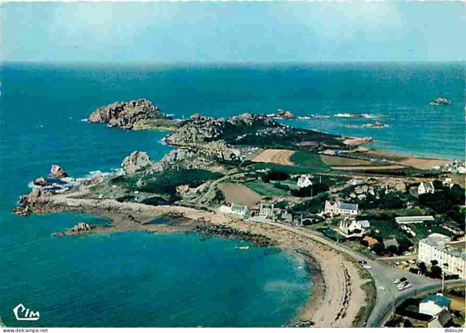 Carte Postale - 29 - Plougasnou - Primel - Trégastel - La Pointe de Trégastel - Vue aérienne - Voir Scans Recto Verso