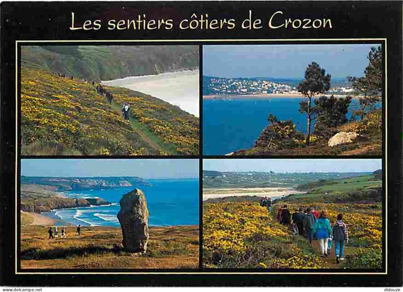 Carte Postale - 29 - Presqu'ile de Crozon - Les sentiers cotiers - Multivues - Voir Scans Recto Verso