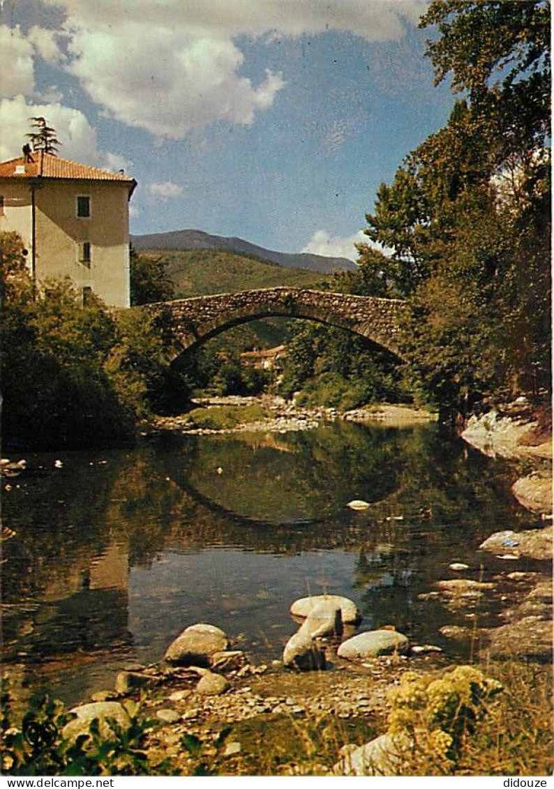 Carte Postale - 30 - Chamborigaud - Pont de Rastel (Pont Romain) de Luech (Rivière à truites) - Vieilles pierres - CPM -