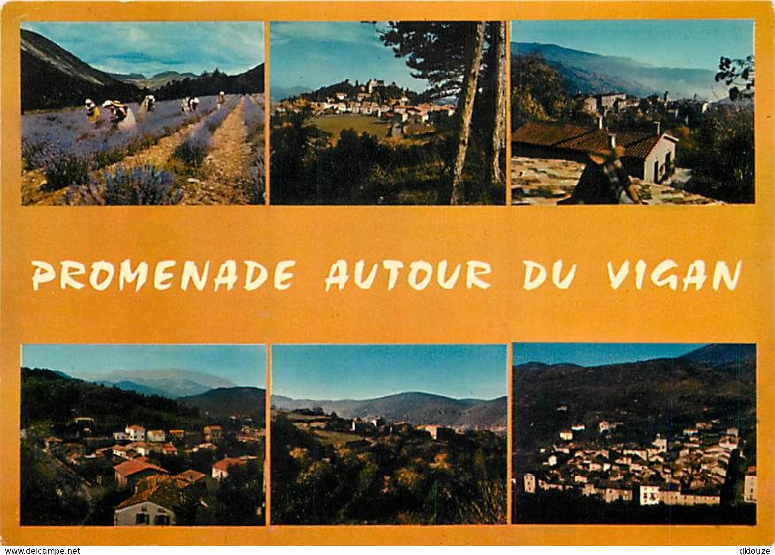 Carte Postale - 30 - Le Vigan - Promenade autour du Vigan - Multivues - CPM - Voir Scans Recto-Verso - Poscard - Carta P