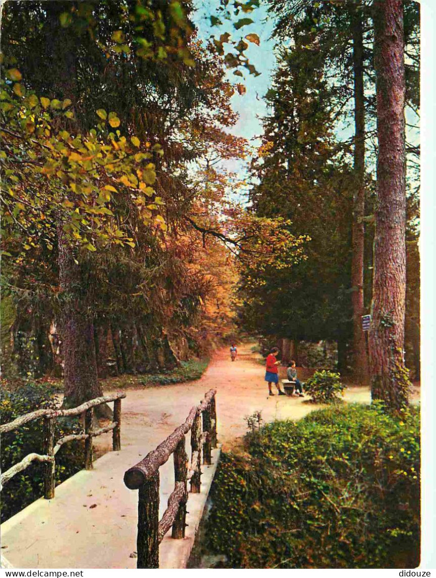 Carte Postale - 31 - Bassin de Saint ferreol - Dans la montagne noire bassin de saint ferreol promenade dans la forêt -