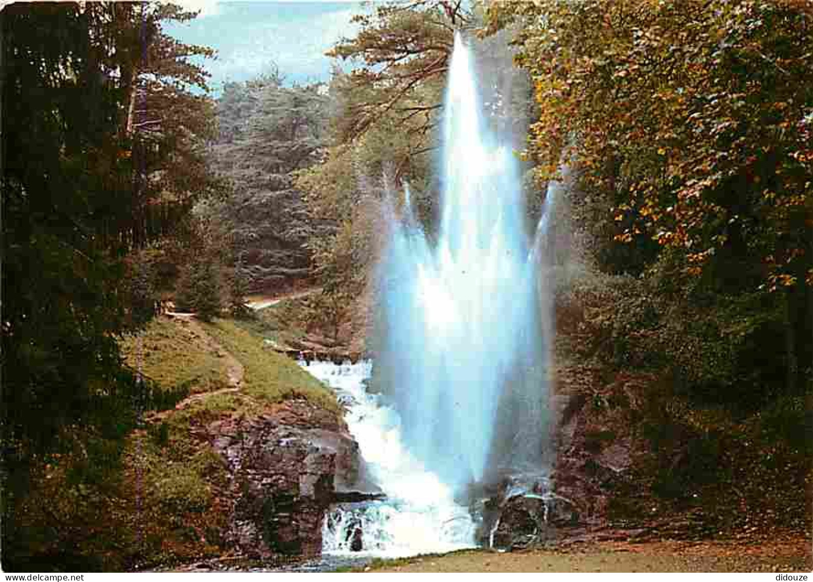 Carte Postale - 31 - Saint Ferreol - Bassin de Saint Ferreol - La Gerbe - CPM - Voir Scans Recto-Verso - Poscard - Carta