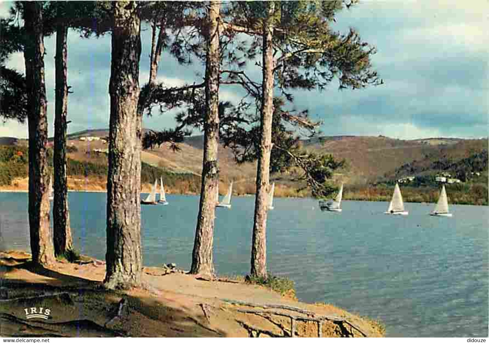 Carte Postale - 31 - Saint Ferreol - Bassin de Saint Ferreol - Régates sur le Lac - Voiles - Carte Neuve - CPM - Voir Sc