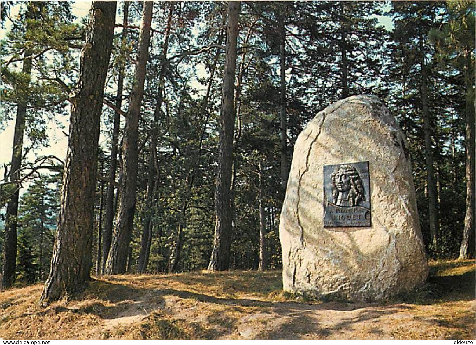 Carte Postale - 31 - Saint Ferreol - CPM - Voir Scans Recto-Verso - Poscard - Carta Postal -  Postkarte