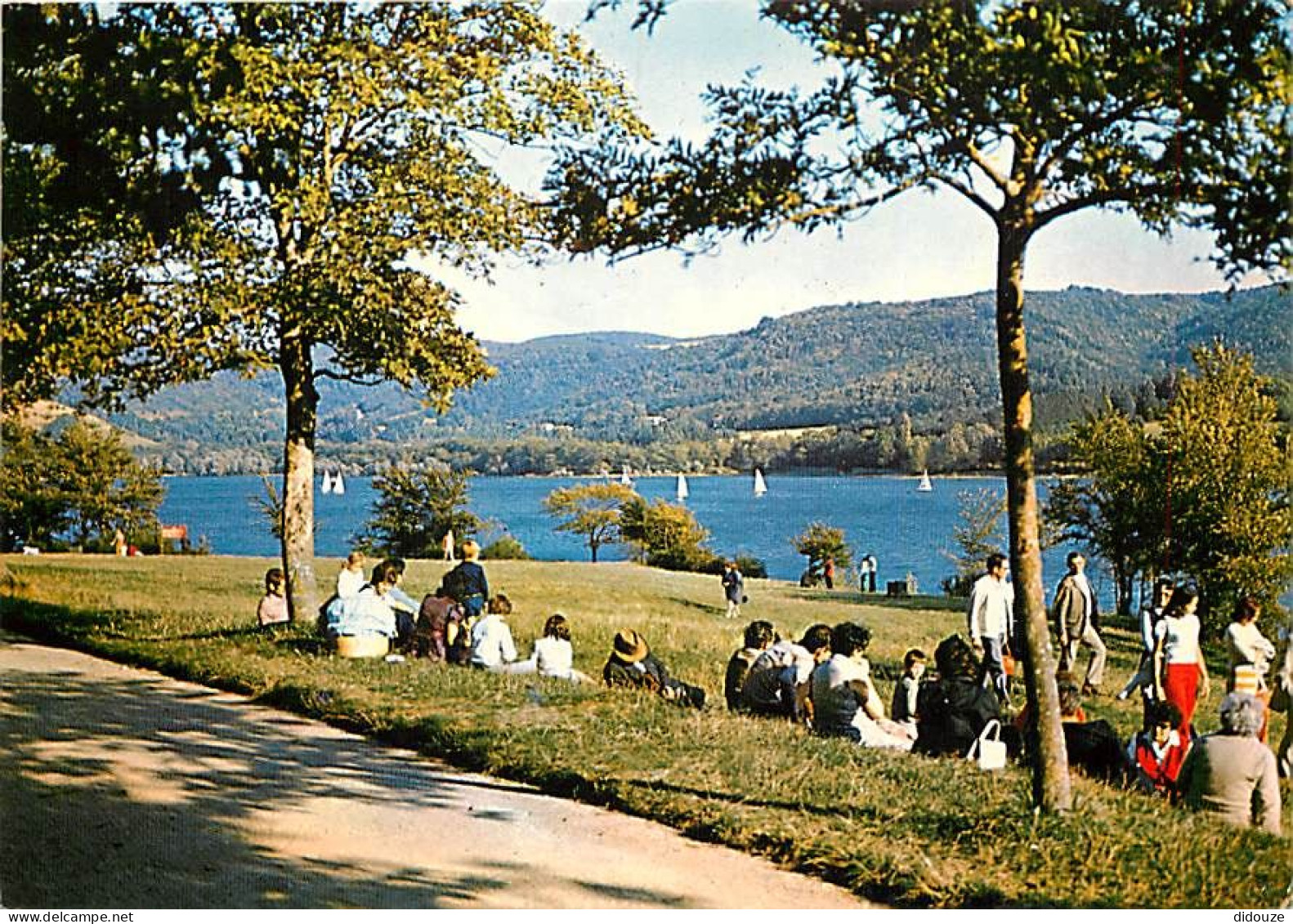 Carte Postale - 31 - Saint Ferreol - CPM - Voir Scans Recto-Verso - Poscard - Carta Postal -  Postkarte
