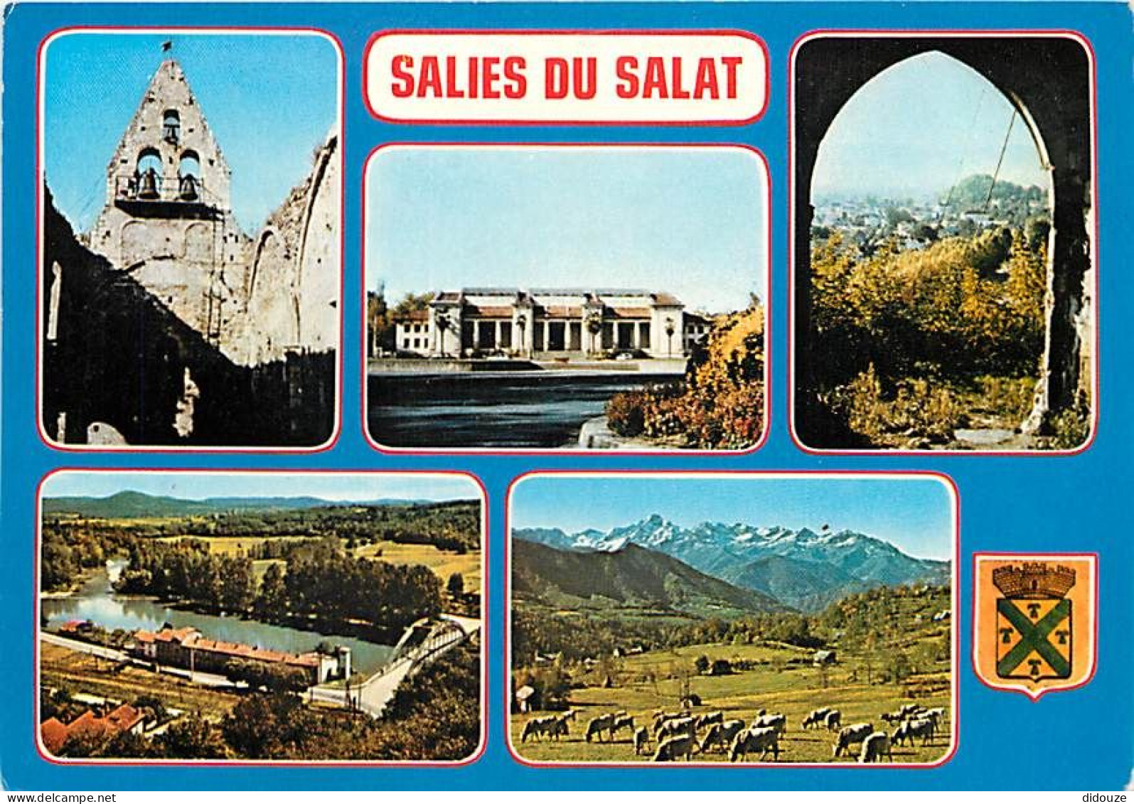 Carte Postale - 31 - Salies du Salat - CPM - Voir Scans Recto-Verso - Poscard - Carta Postal -  Postkarte