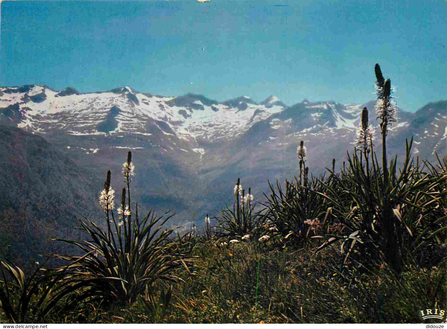 Carte Postale - 31 - Superbagneres - Les Crabioules et la vallée du Lys -  -  -  -  - CPM -  -  - Voir Scans Recto-Verso