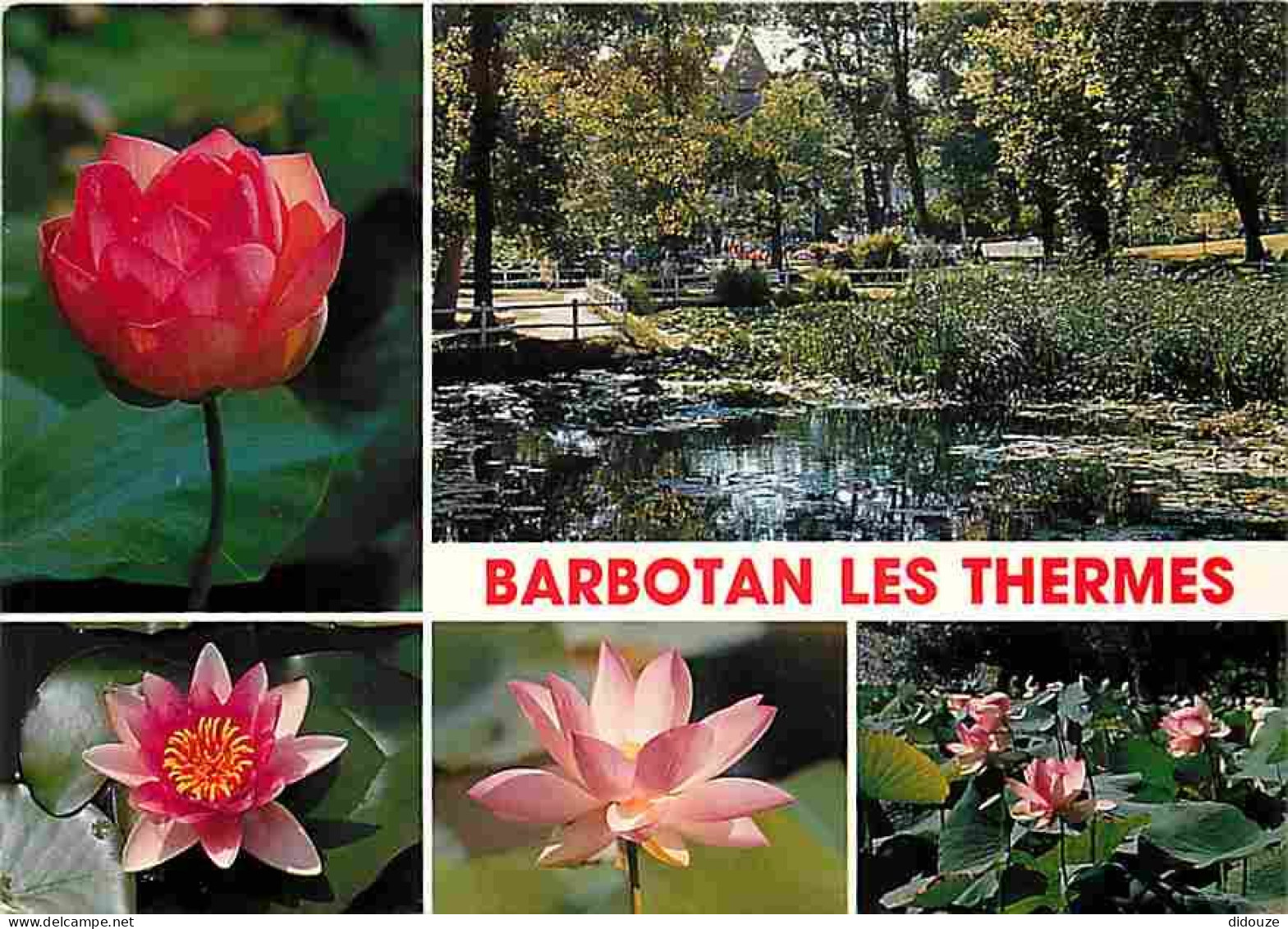 Carte Postale - 32 - Barbotan les Thermes - Multivues - Fleurs - Flamme Postale de Barbotan les Thermes - CPM - Voir Sca