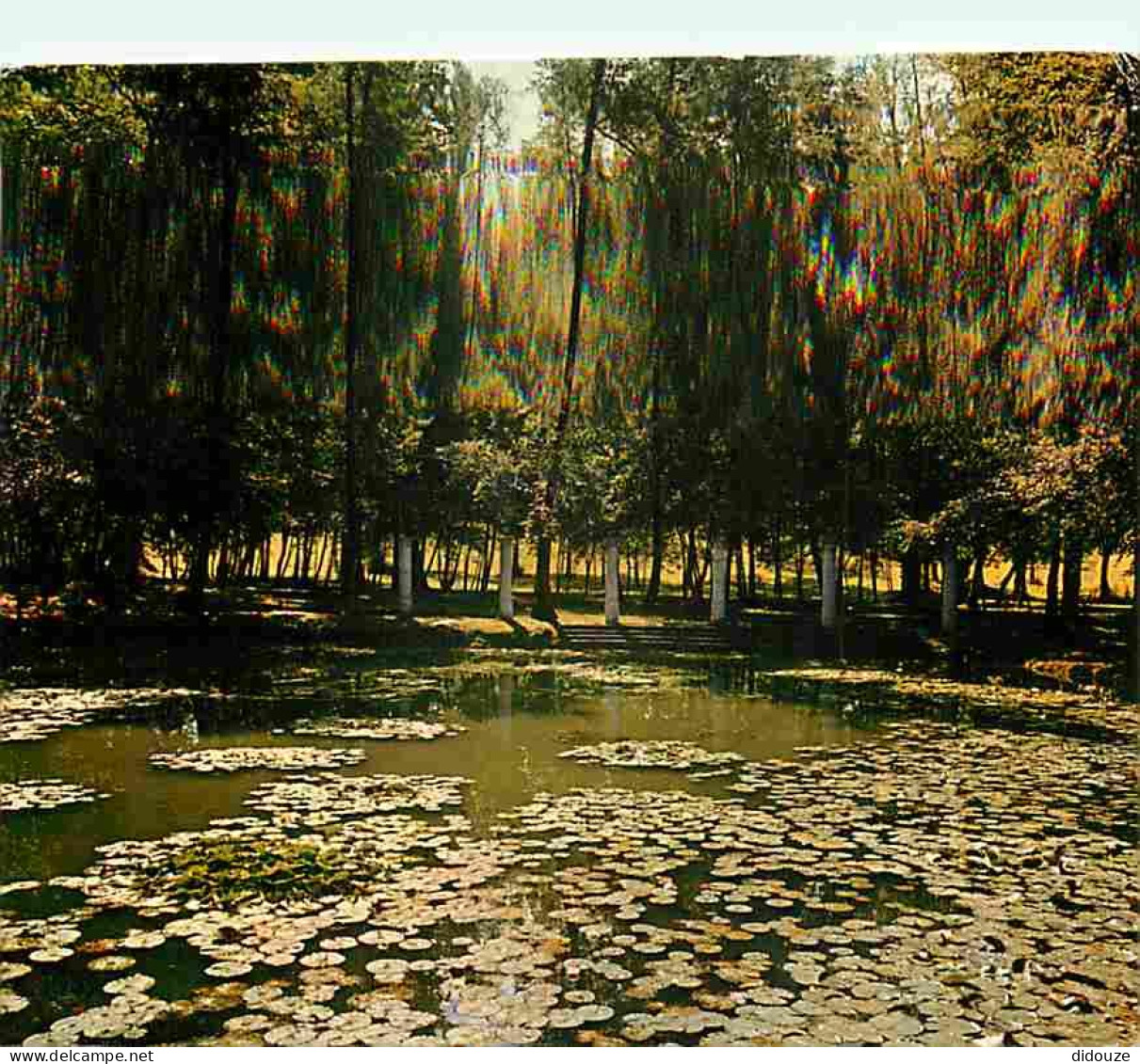 Carte Postale - 32 - Barbotan les Thermes - Un coin du Parc avec les Nénuphars - Flamme Postale de Barbotan les Thermes