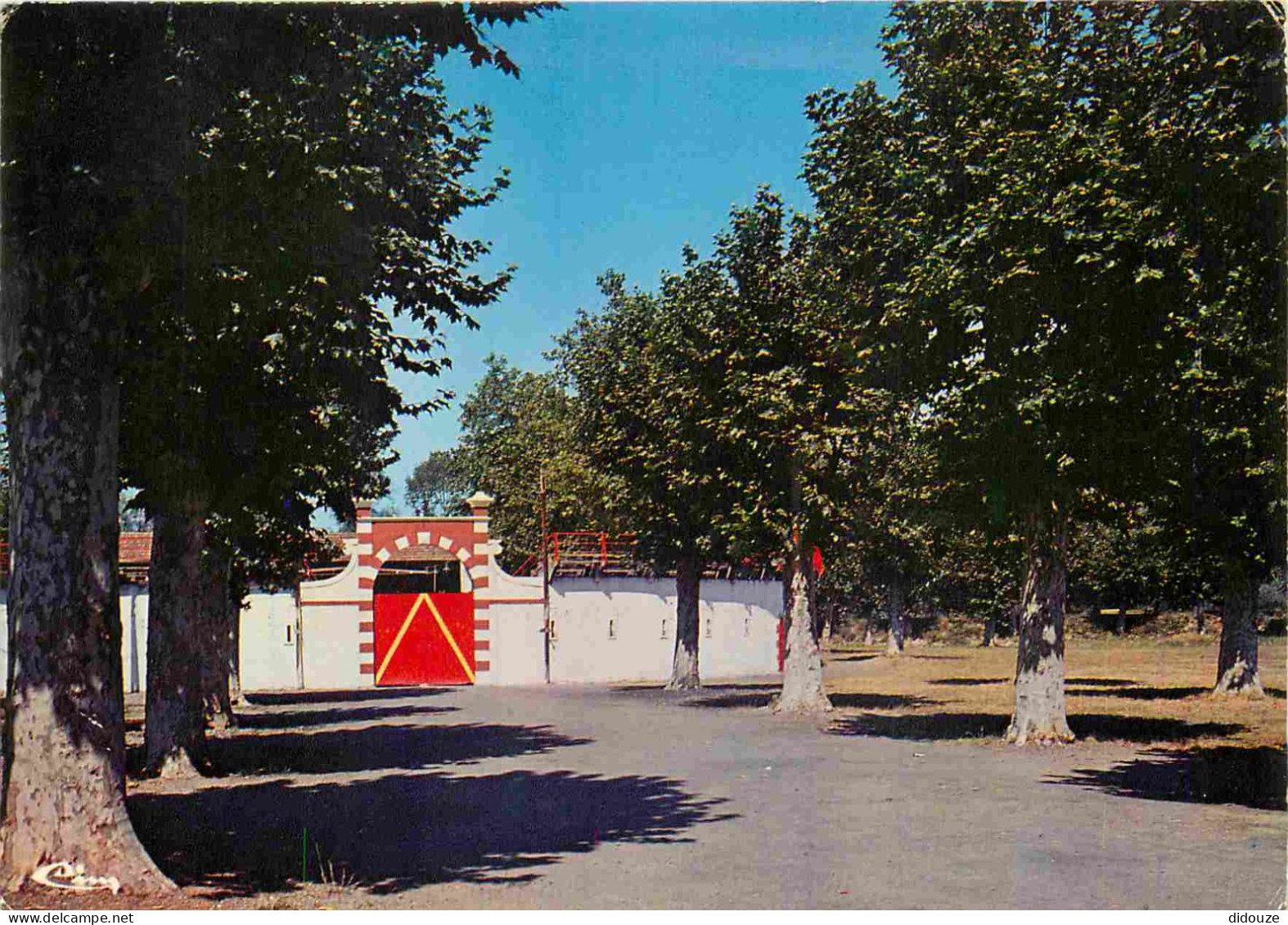 Carte Postale - 32 - Riscle - L'Avenue des Arènes - CPM - Voir Scans Recto-Verso - Poscard - Carta Postal -  Postkarte