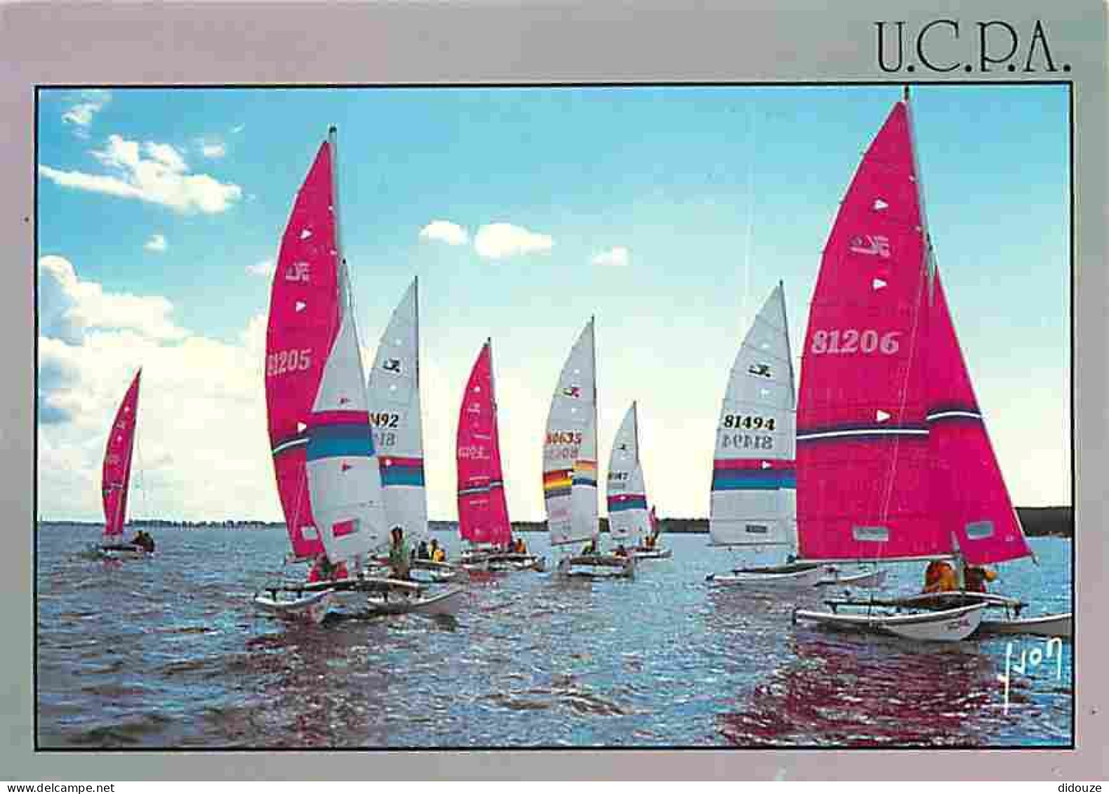Carte Postale - 33 - Carcans - Maubuisson - Le Centre U.C.P.A de Bombannes - Catamarans - Voiles - CPM - Voir Scans Rect
