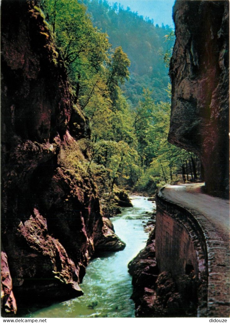 Carte Postale - 38 - Saint Pierre de Chartreuse - Monastère de la Grande Chartreuse - Route de la Grande Chartreuse - Ro