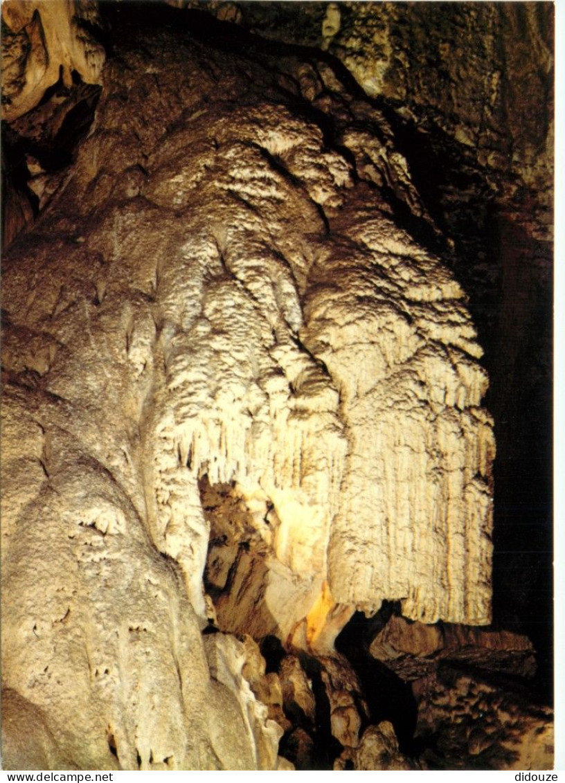 Carte Postale - 38 - Sassenage - Les Cuves de Sassenage - Salle Saint-Bruno - La Crèche - CPM - Carte Neuve - Voir Scans