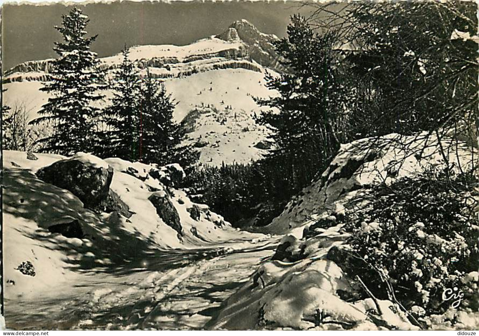 Carte Postale - 38 - Villard de Lans - Environs de Villard de Lans - Le Cornafion (2031 m.) - Hiver - Neige - Carte dent