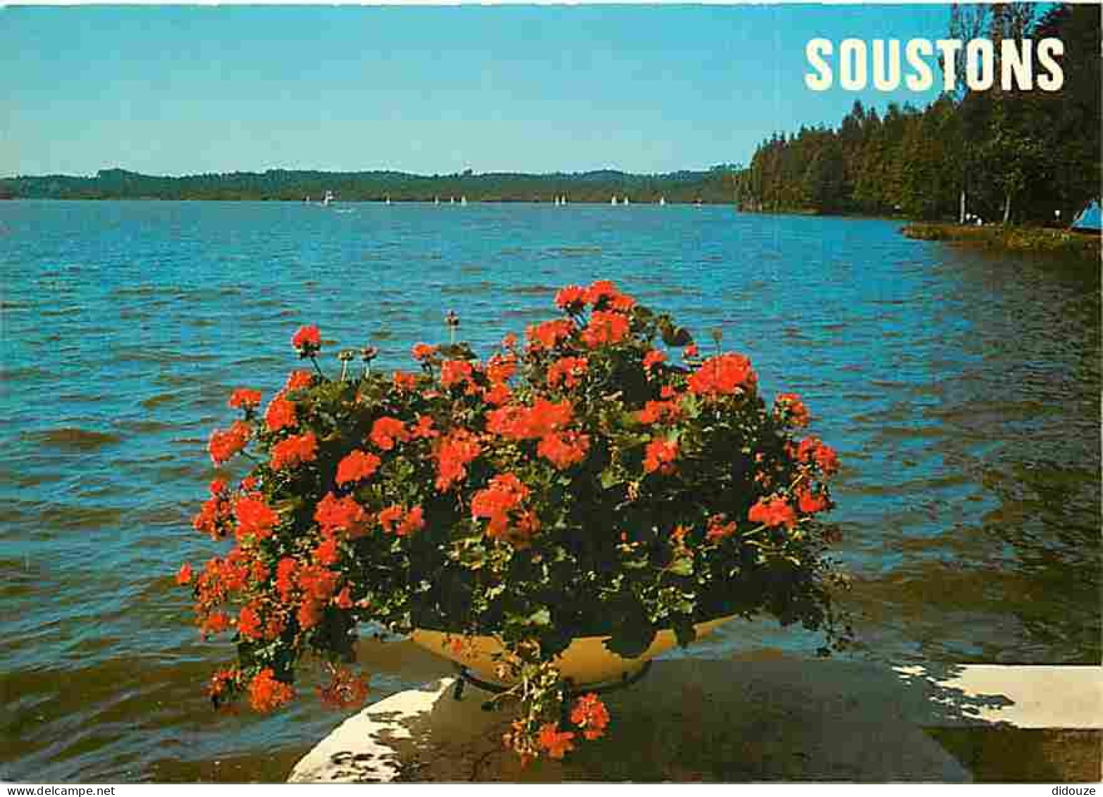 Carte Postale - 40 - Soustons - Le Lac - CPM - Voir Scans Recto-Verso - Poscard - Carta Postal -  Postkarte