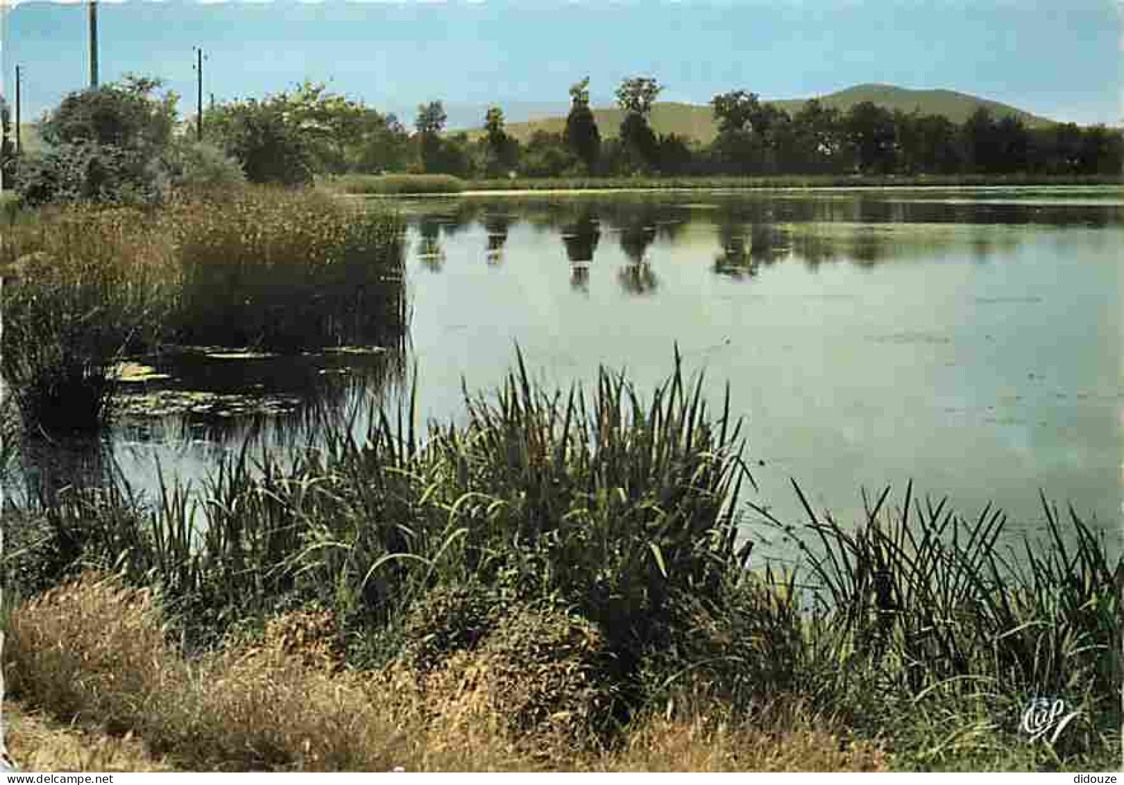 Carte Postale - 42 - Montbrison - Environs de Montbrison - Etangs du Roy - CPM - Voir Scans Recto-Verso - Poscard - Cart